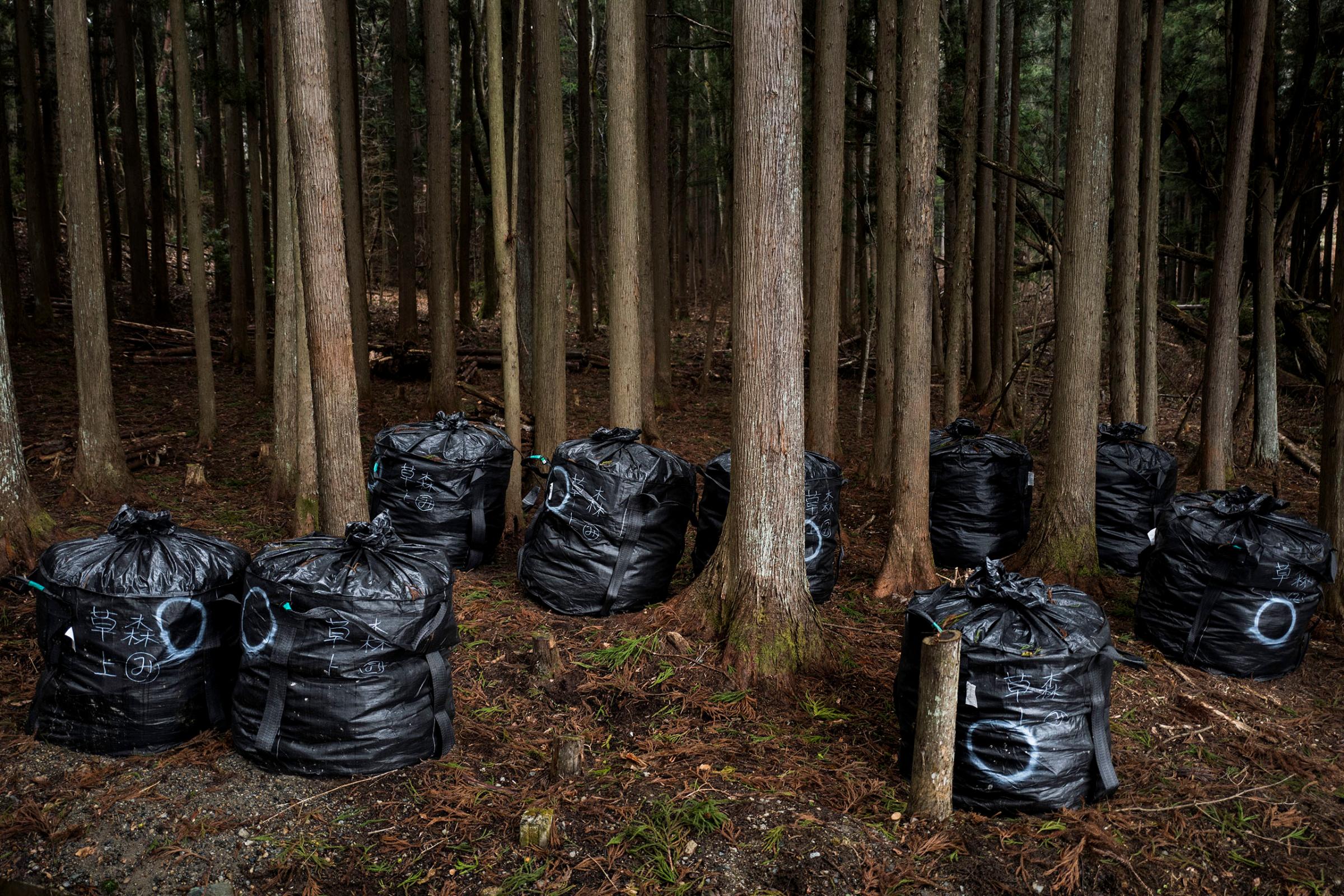 Decontamination bags are seen in the woods of Itate, Fukushima, Japan, March 7, 2016.
