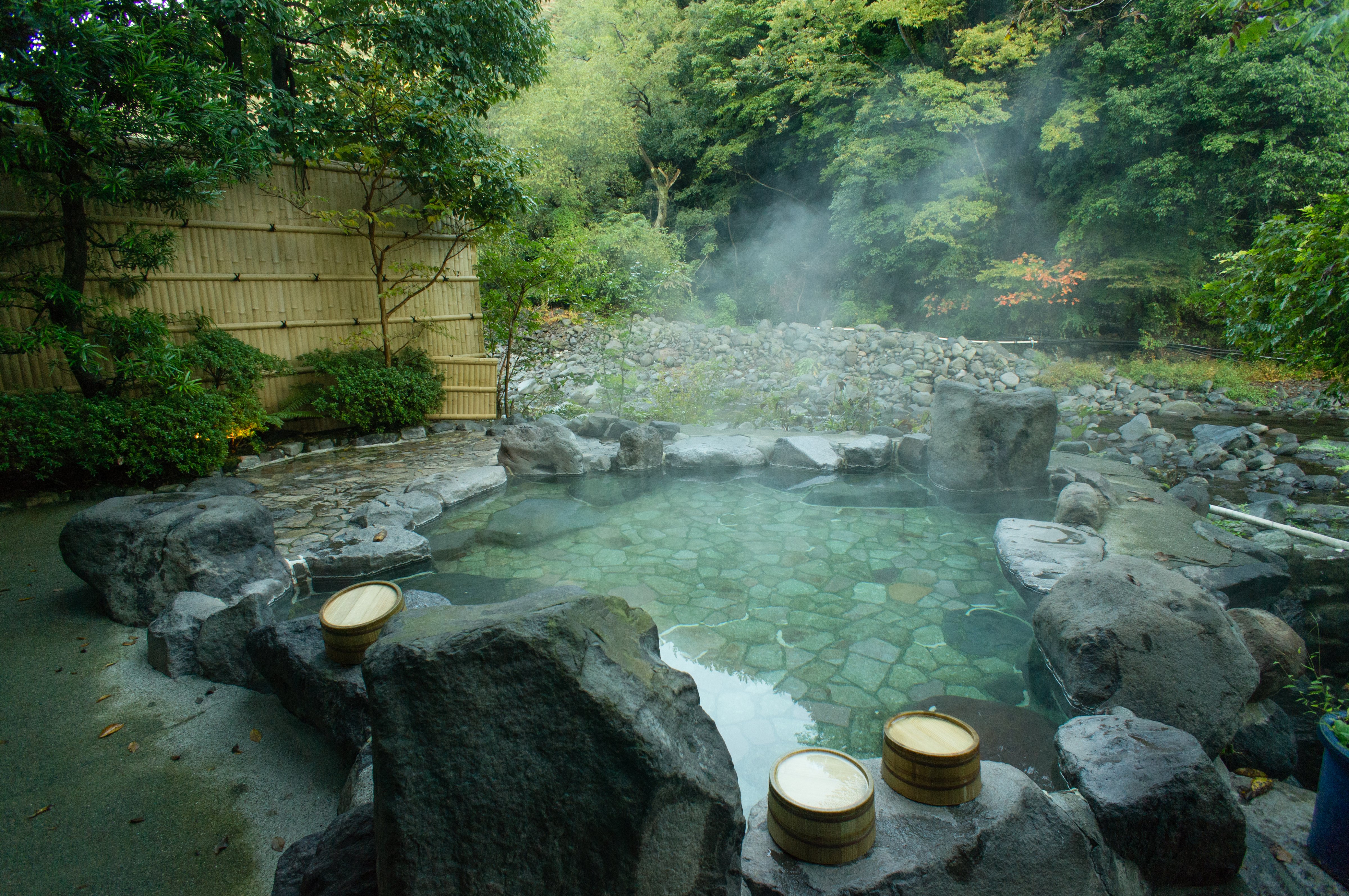 Natural hot spring bath in Hakone, Japan (Ippei Naoi—Flickr RM/Getty Images)