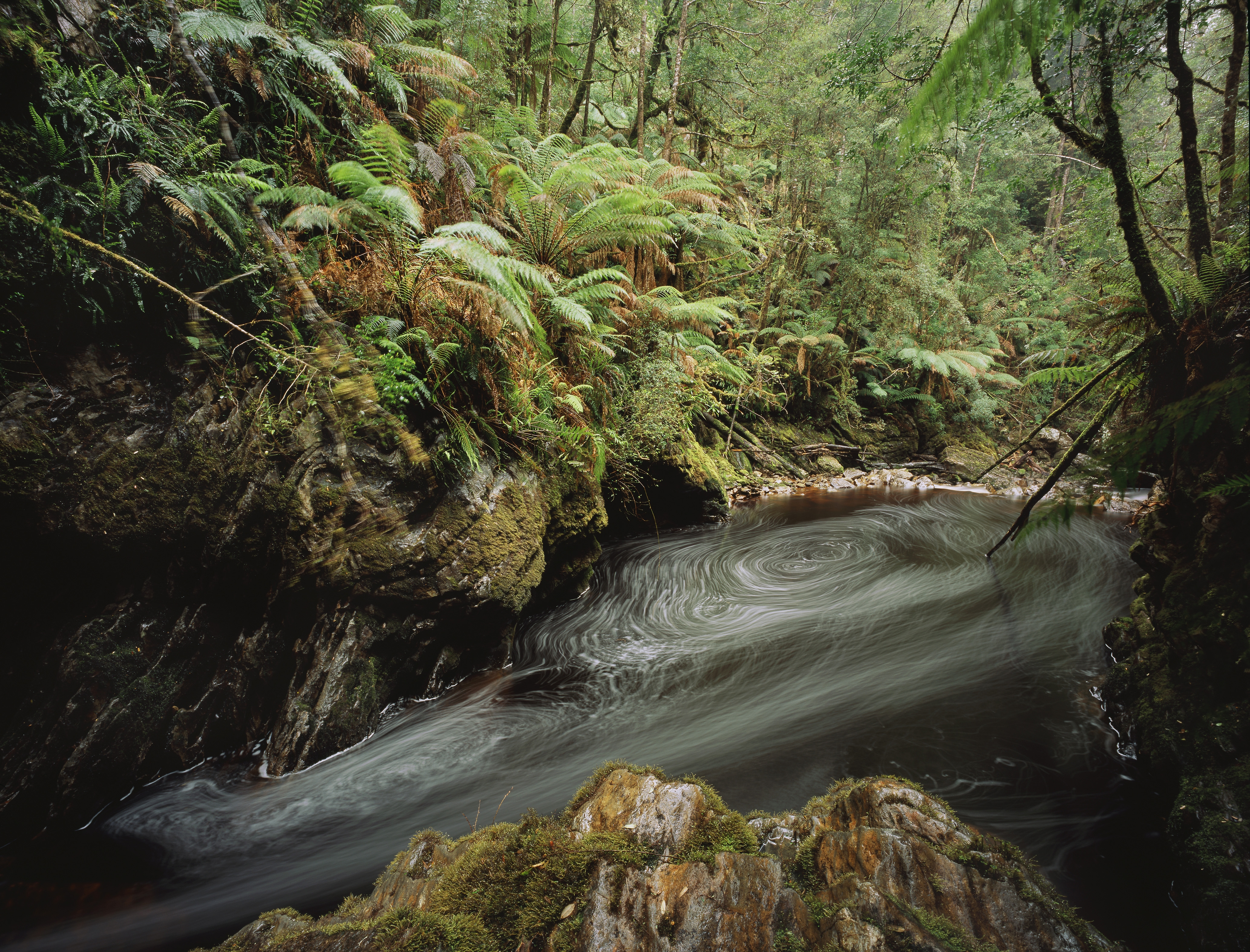 Eddies in the Bird River running through temperate rainforest, Western Tasmania, Australia (Auscape/UIG/Getty Images)