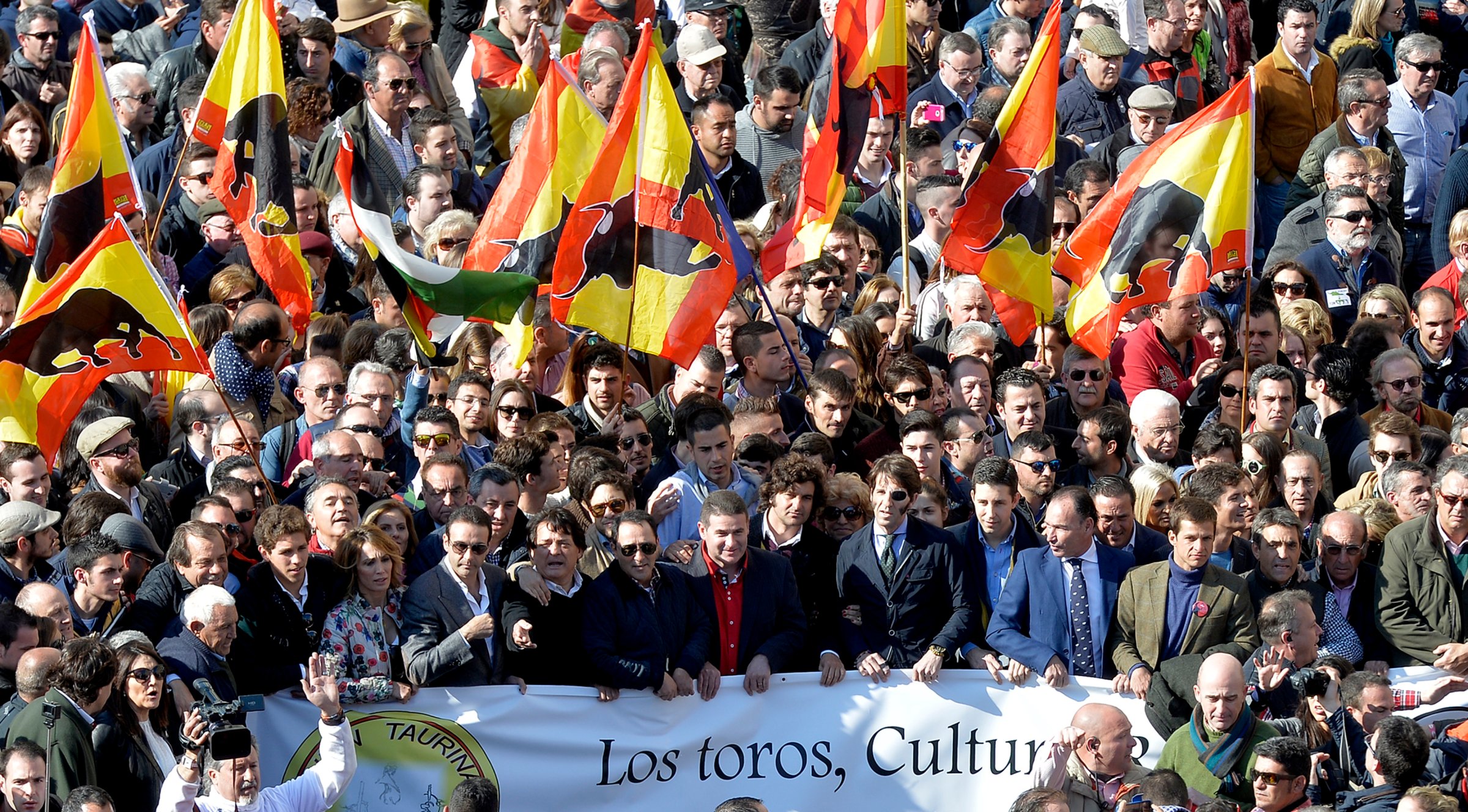 SPAIN-VALENCIA-BULLFIGHTING-DEMOSTRATION