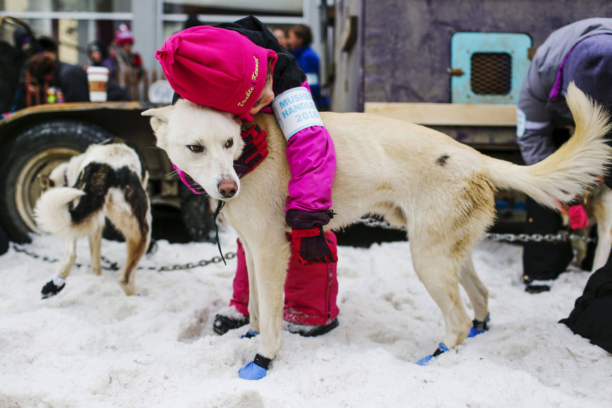 A handler with Alan Eischen's team embraces one of Eischen's dogs before the ceremonial start of the Iditarod Trail Sled Dog Race in Anchorage, Alaska on March 5.