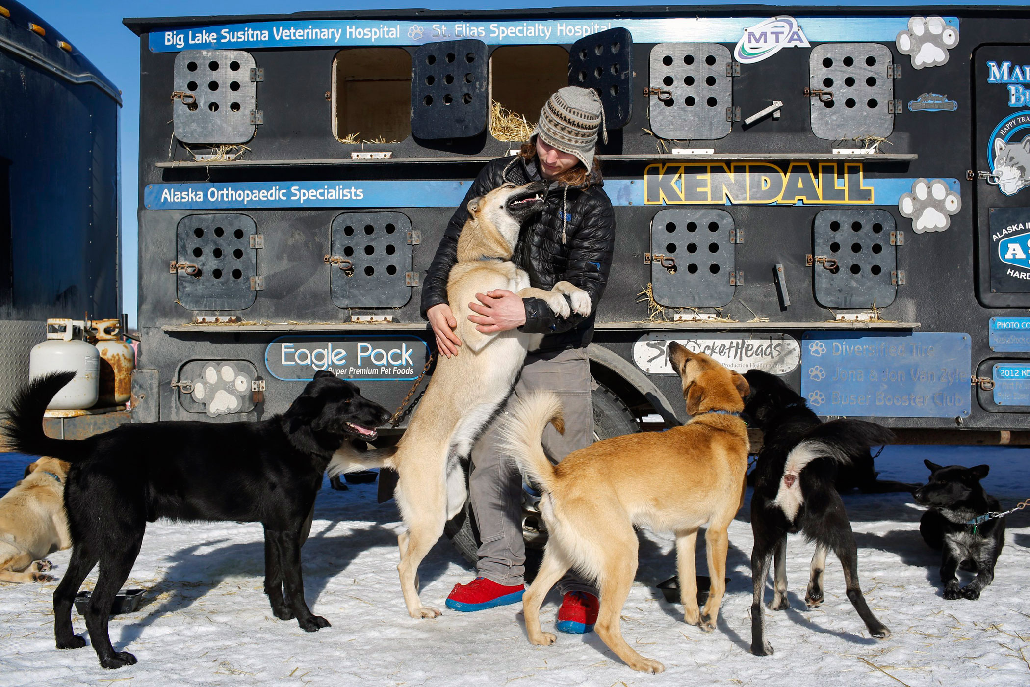 Champion musher Martin Buser's son, Rohn, greets dogs from his dad's team before the restart of the Iditarod Trail Sled Dog Race in Willow, Alaska on March 6.