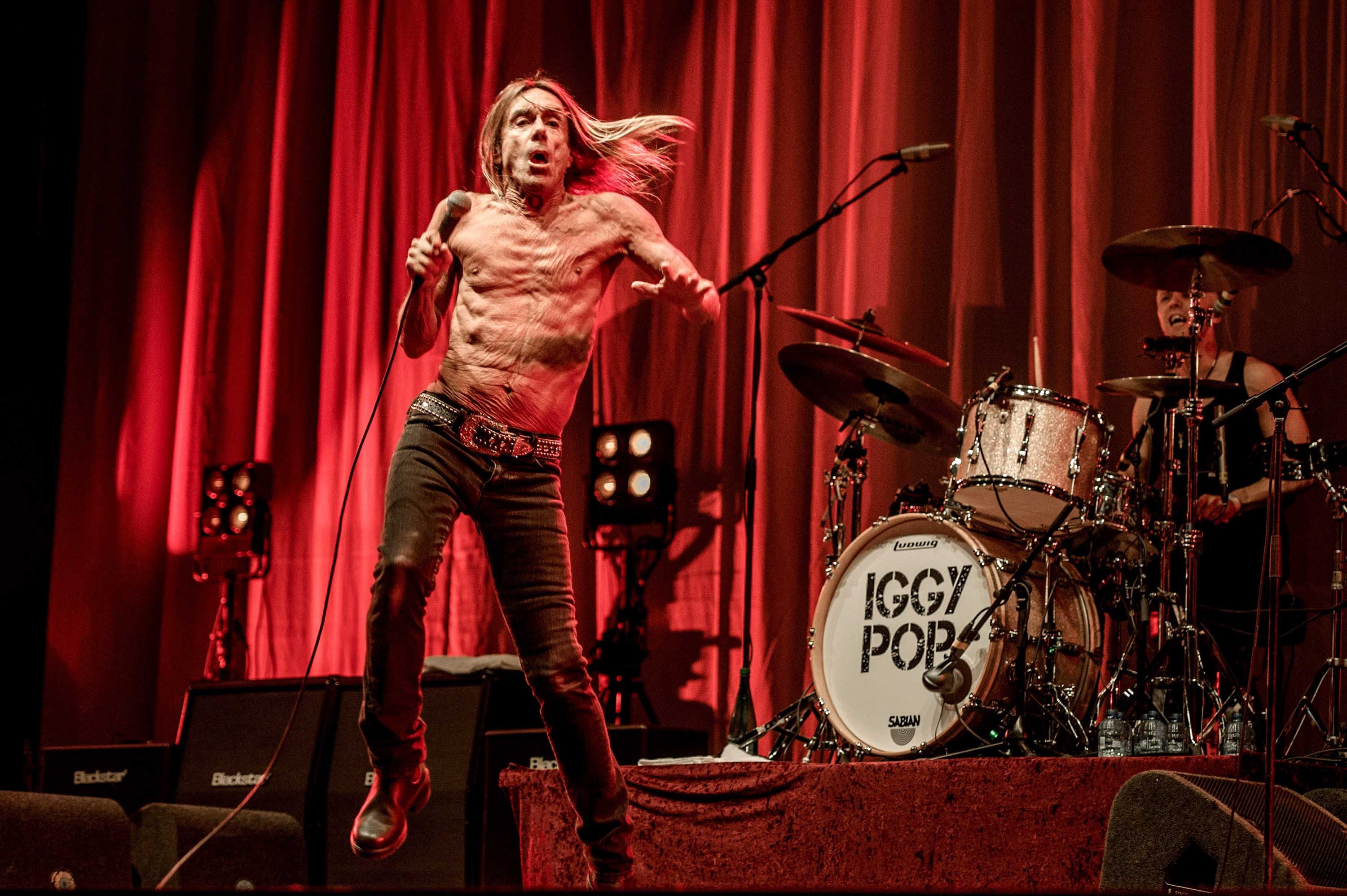 Iggy Pop strips down for an album that recalls his Bowie-in-Berlin years (Ferdy Damman—AFP/Getty Images)