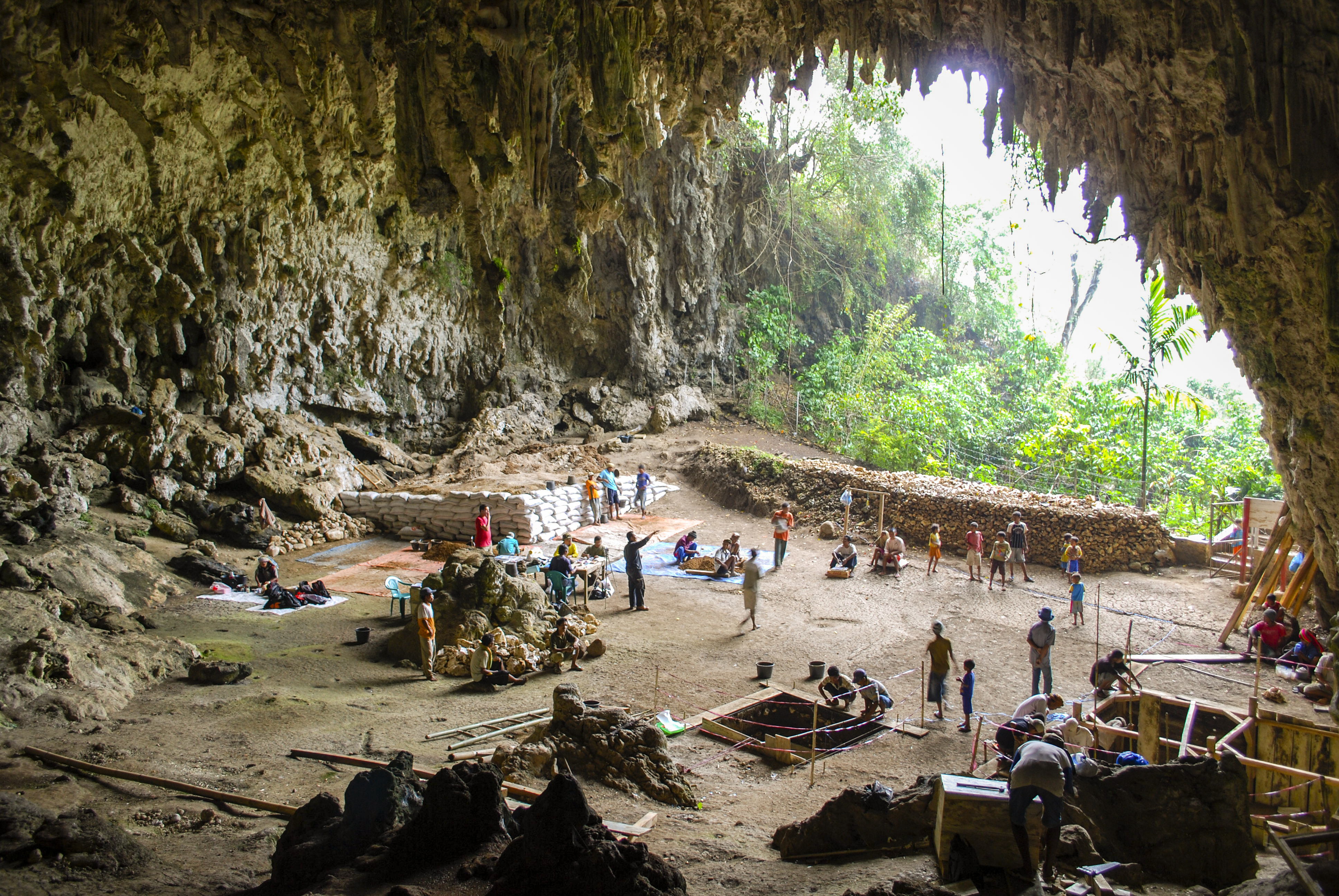 Liang Bua, a limestone cave on the Indonesian island of Flores. The Liang Bua team prepares for new archaeological excavations. Eight years of further excavations and study at the Indonesian cave site of Liang Bua have pushed back the time of disappearance of the ‘hobbits’ of Flores (Homo floresiensis) from as recently as 12,000 years ago to about 50,000 years ago. (Liang Bua Team)