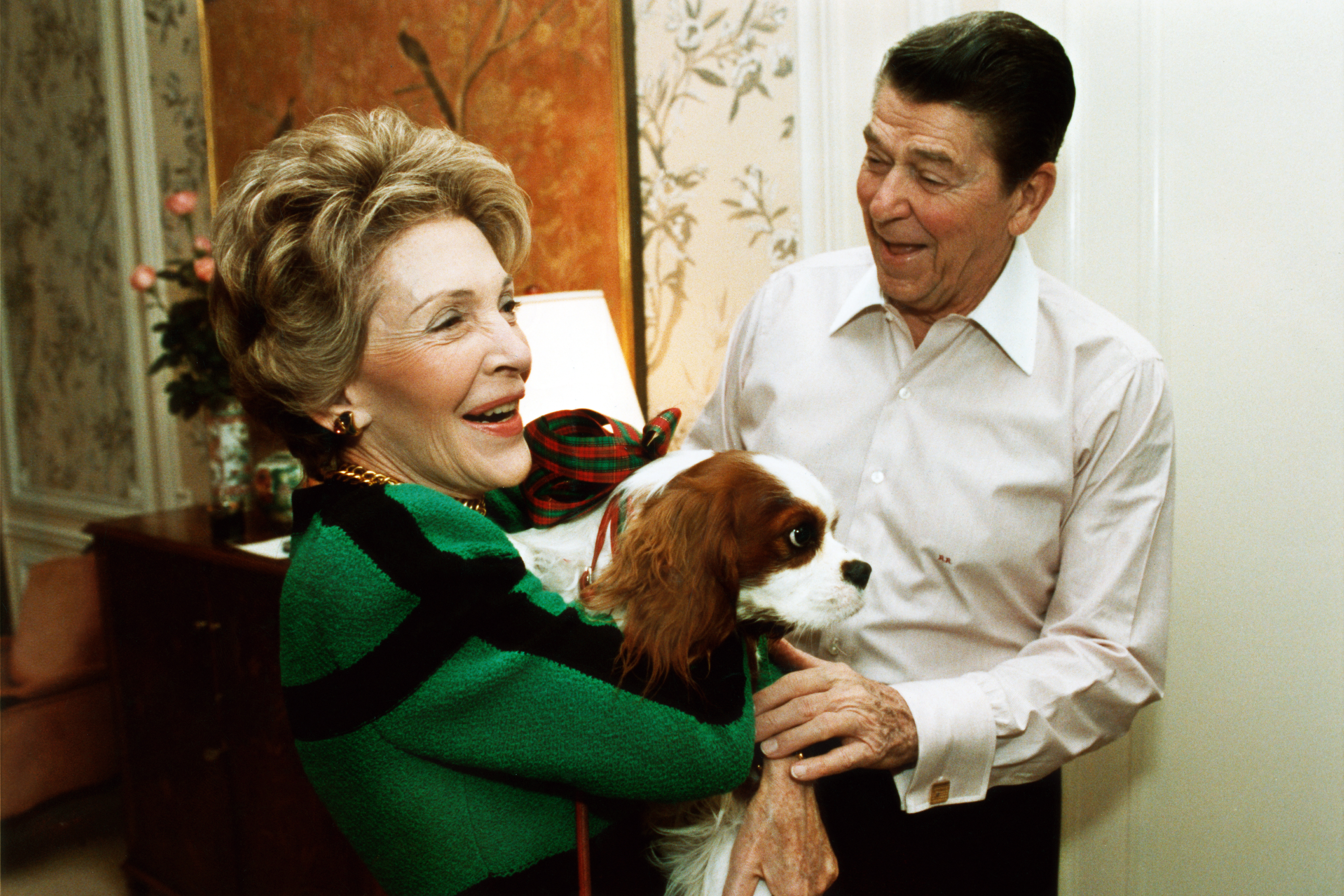 President Ronald Reagan presents First Lady Nancy Reagan with an early Christmas present of a King Charles Spaniel named Rex, at their suite in a New York hotel on Dec. 6, 1985.