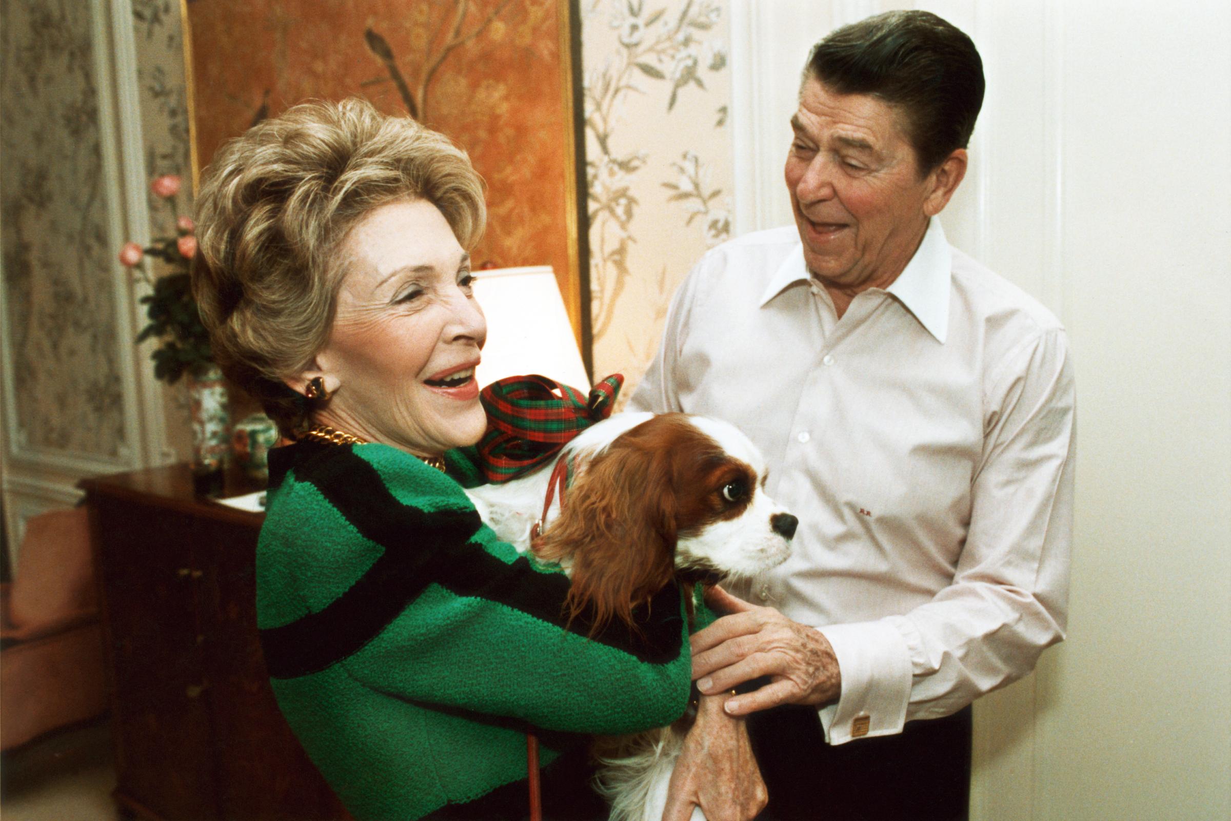 President Ronald Reagan presents First Lady Nancy Reagan with an early Christmas present of a King Charles Spaniel named Rex, at their suite in a New York hotel on Dec. 6, 1985.