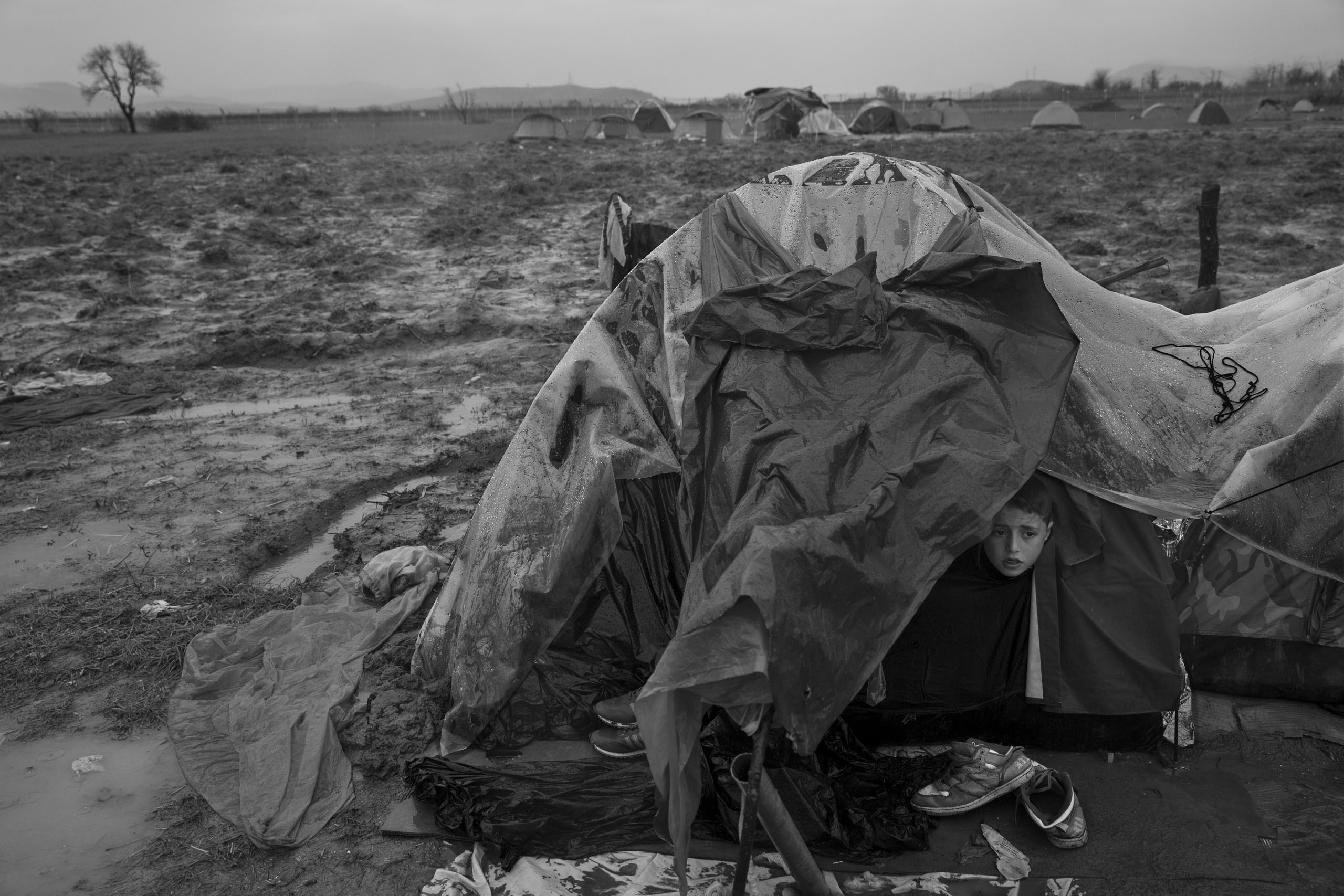 A boy peers out of a tent at a  refugee camp in Greece at the Macedonian border, where 12,000 inhabitants—nearly all of them Syrians,
                              Iraqis or Afghans—have been huddling in their shelters atop the mud, March 13, 2016.