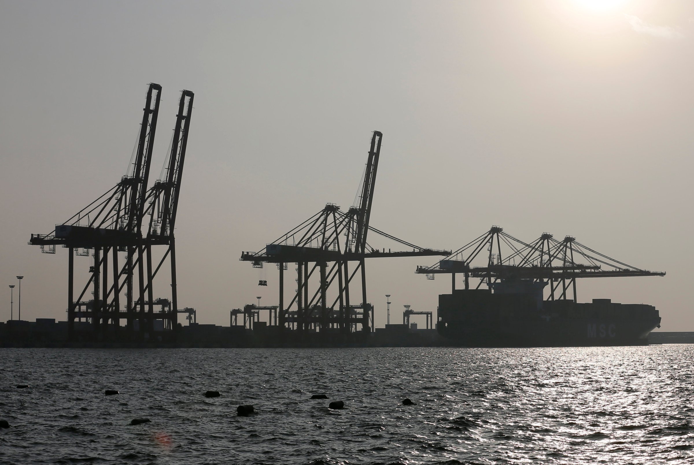 A container ship is pictured docked at the Colombo South Harbor funded by China in Sri Lanka