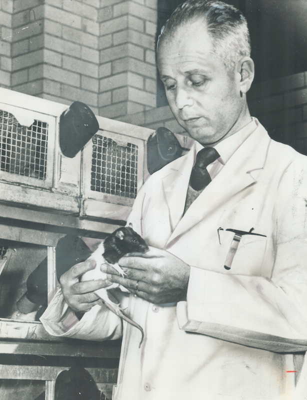 Hans Selye's experiments with rats shed pioneering light on how stress affects health (Toronto Public Library / Getty Images)