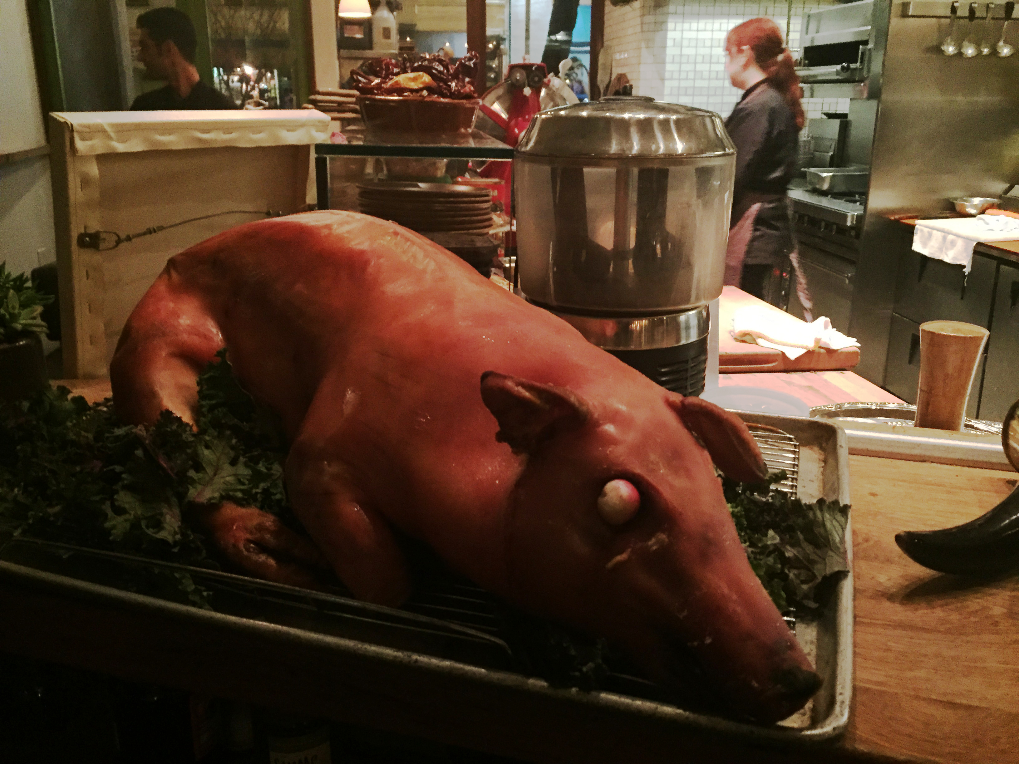 The suckling pig will soon be carved and served with plum sauce.