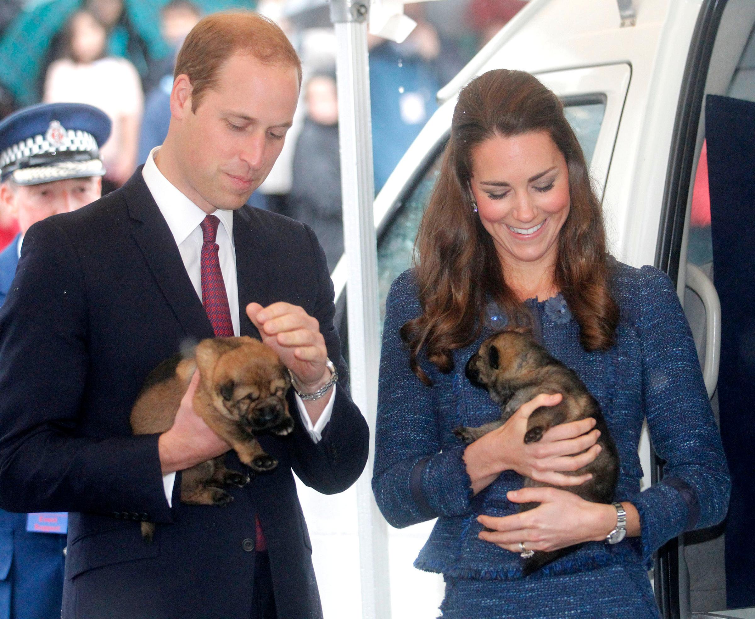 Prince William, Duke of Cambridge and Catherine, Duchess of Cambridge hold puppies during a visit to the Royal New Zealand Police College in Wellington, New Zealand on April 16, 2014.