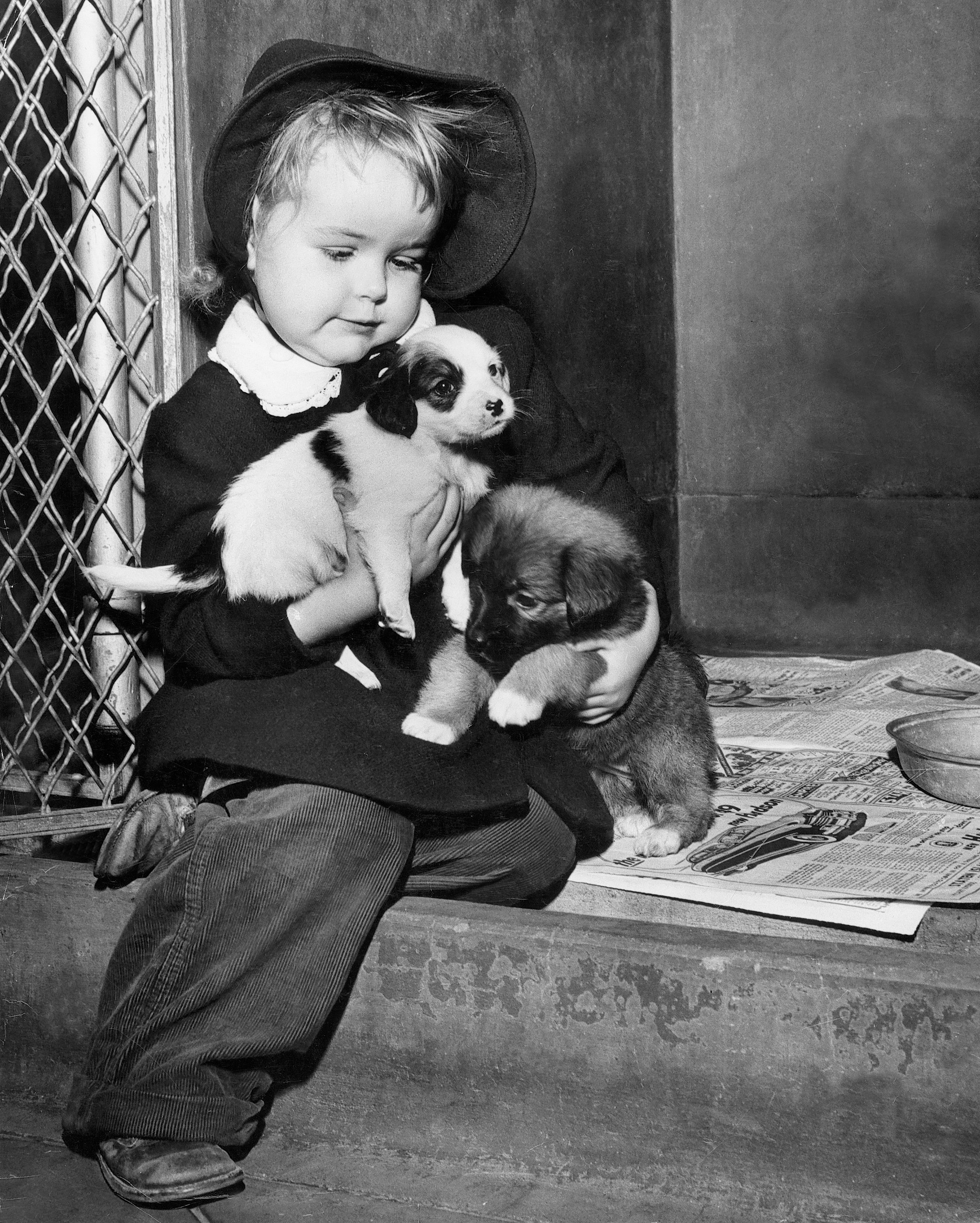Little girl with ASPCA adoptable puppies, 1948.