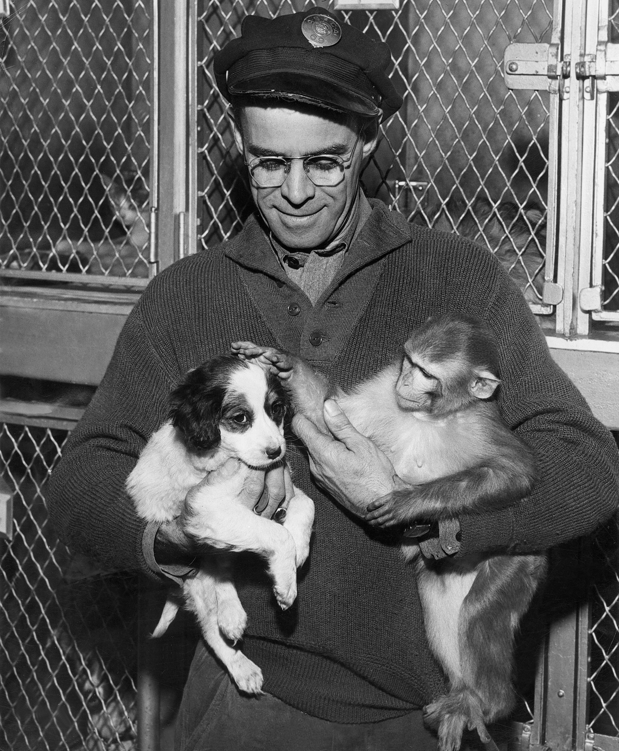 ASPCA agent cares for dog and monkey at the ASPCA Animal Port at Idlewild (John F. Kennedy) Airport, 1960s.
