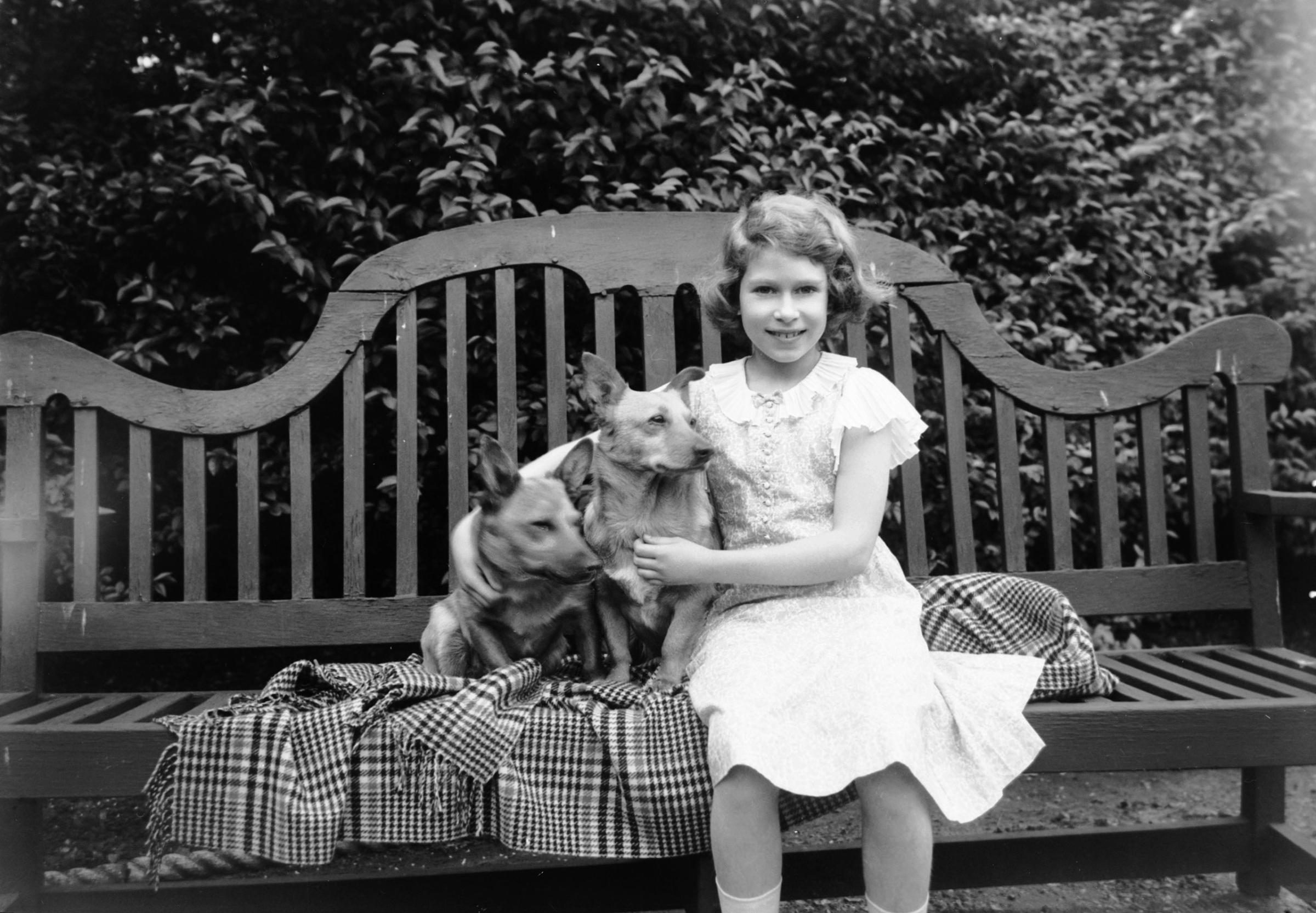 Princess Elizabeth sitting on a garden seat with two corgi dogs at her home on 145 Piccadilly, London. July 1936.