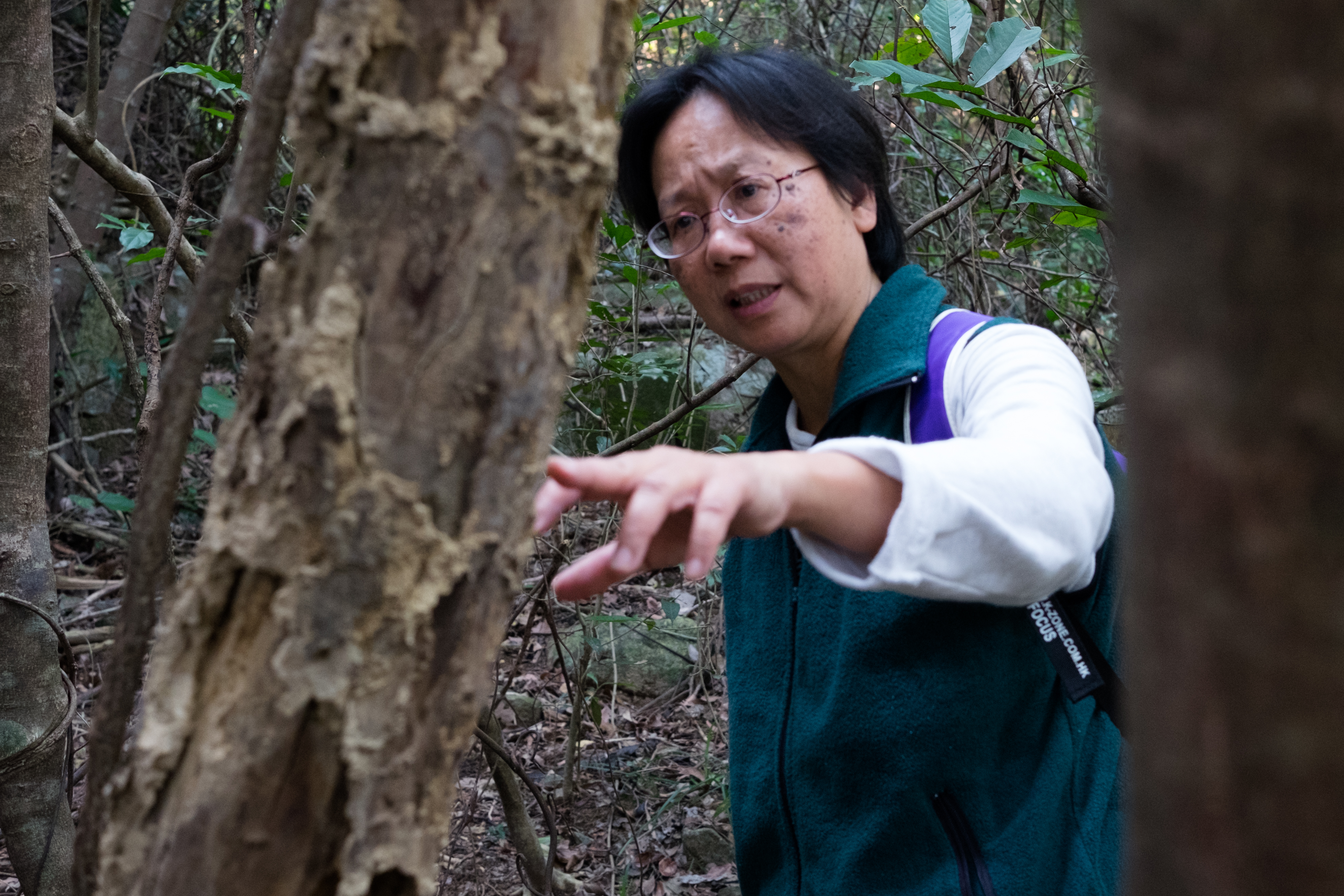 Ho Pui-han follows agarwood poachers's trail