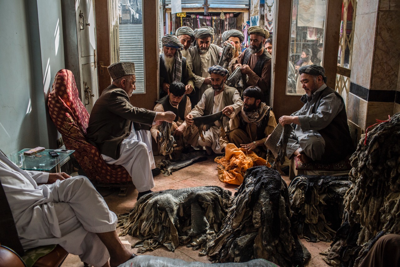 Sayed Mohammad Sultani, left, examines pelts brought in by middle men who procure them from shepherds in Northern Afghanistan. Mazar-e-Sharif, Afghanistan, 2015.