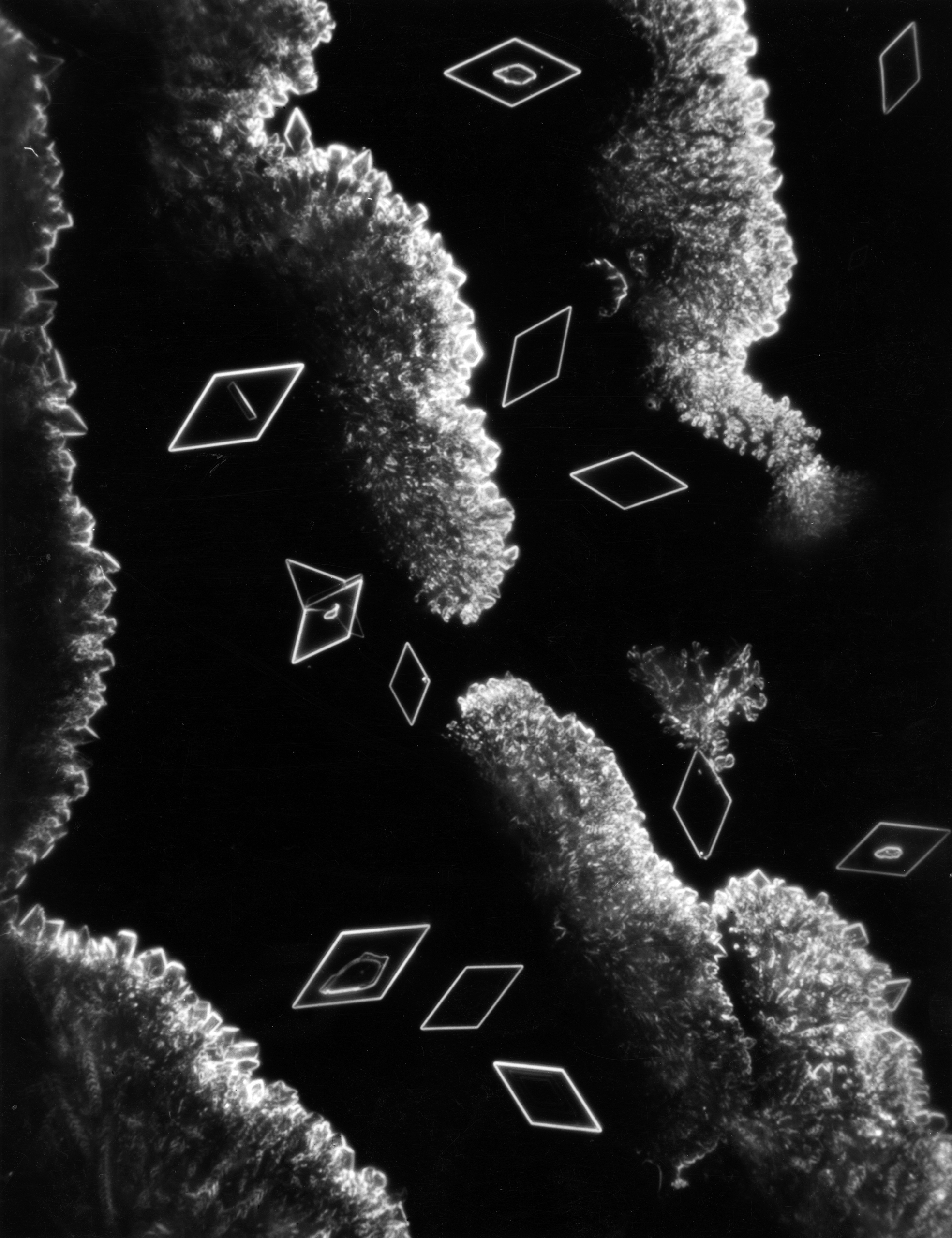 Crystals of Aspartic Acid, 1947