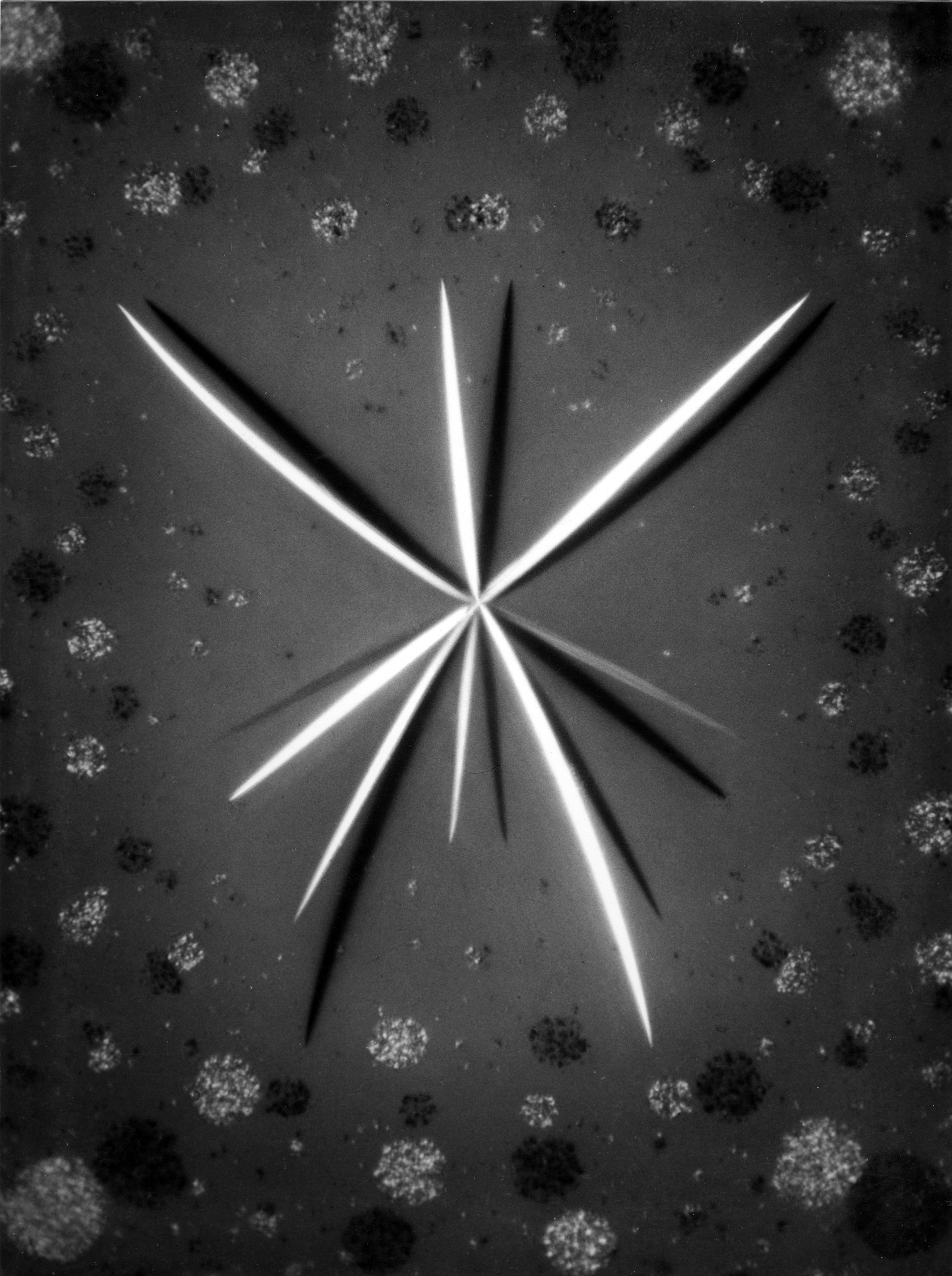 Rhubarb-crystals (Radix rhei), 1950