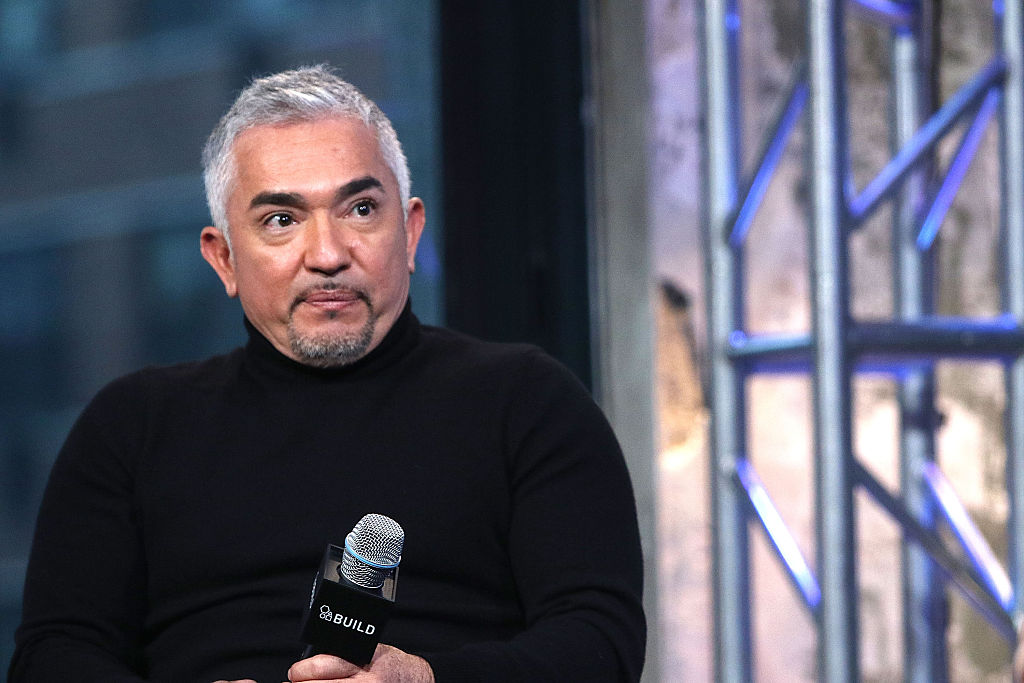 Cesar Millan is pictured here on Feb. 4, 2016 in New York City.