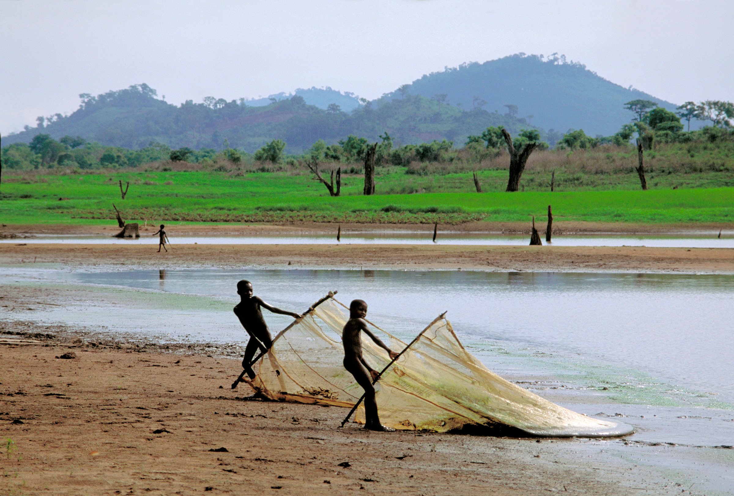 Boys Fishing, Ghana