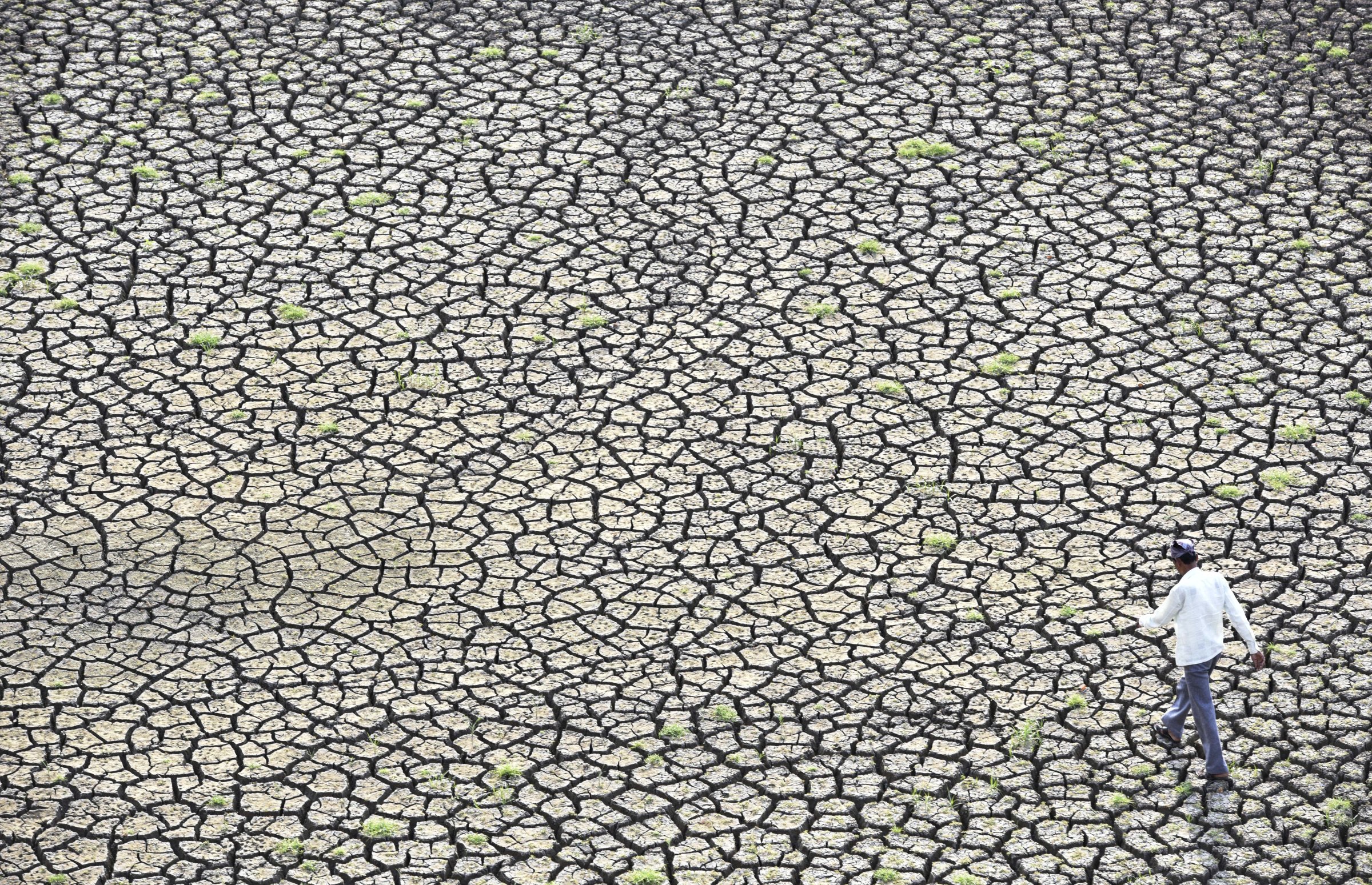 Marathwada Drought: Water Crisis In Latur