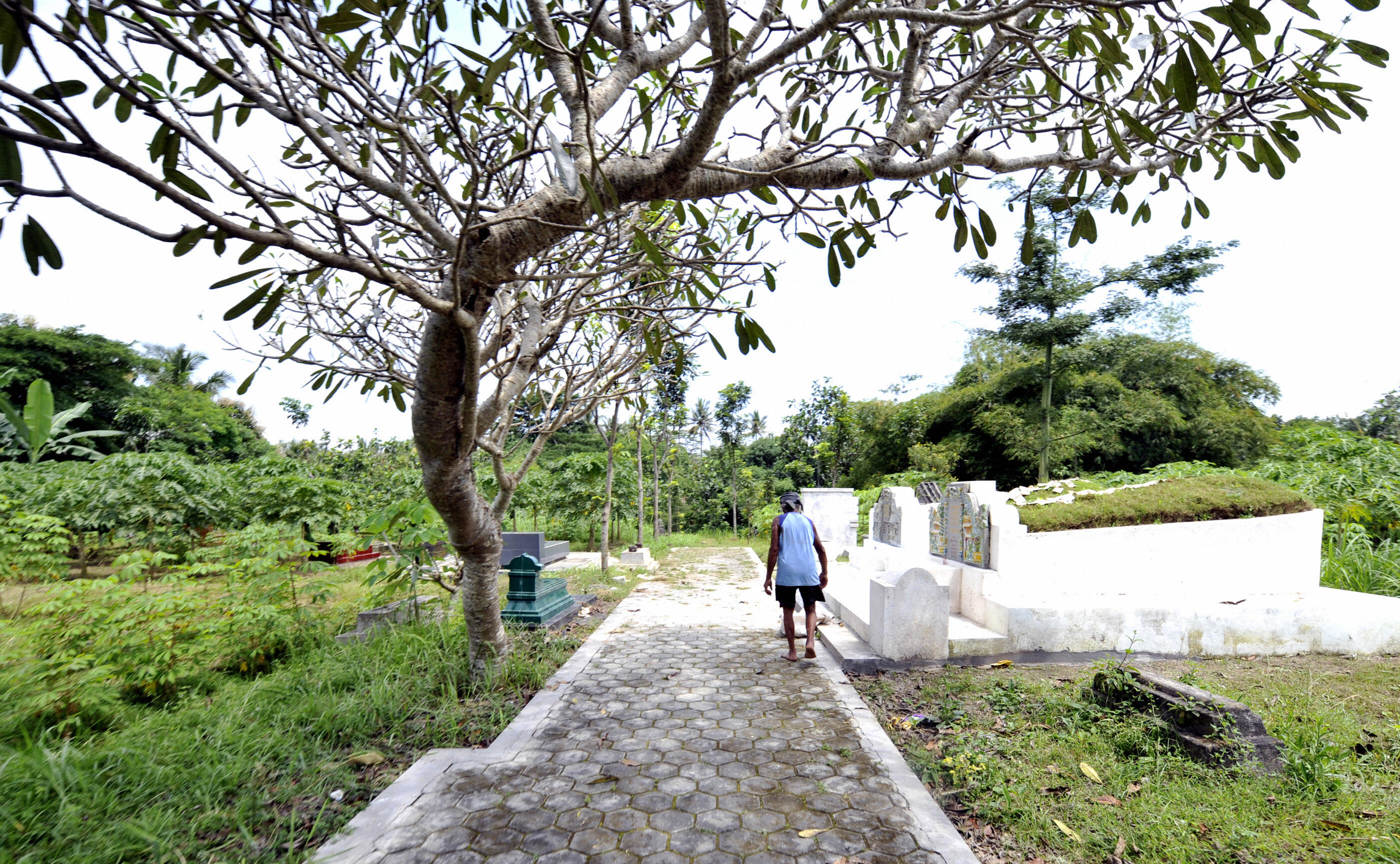 A man walks toward a grave yard where hundreds of victims were buried during the 1965 massacre of people allegedly involved in the Indonesian Communist Party (PKI) in Boyolali, Indonesia, on April 13, 2008 (Adek Berry—AFP/Getty Images)