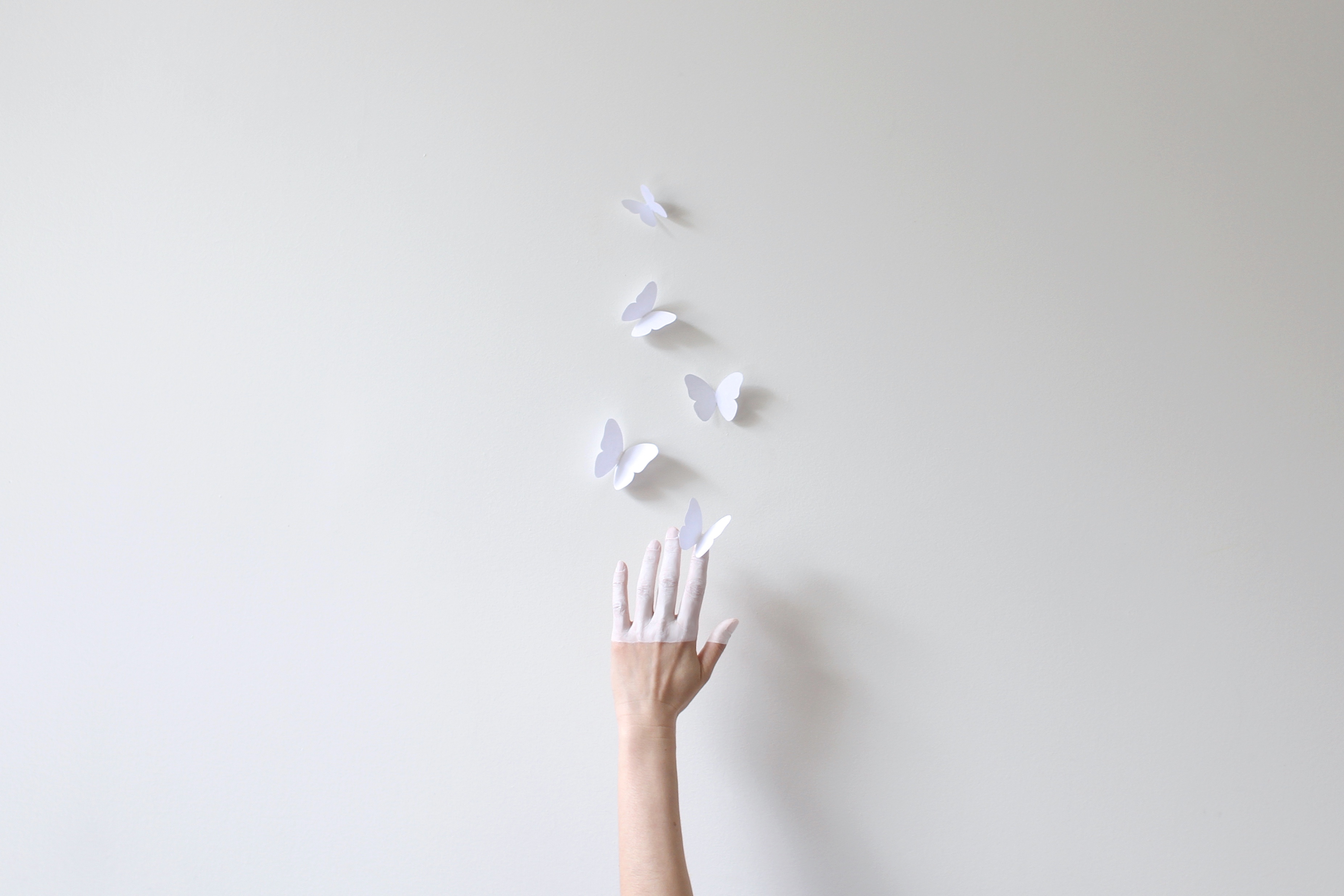 A hand half painted in white reaching up to white paper butterflies against white wall (Getty Images)