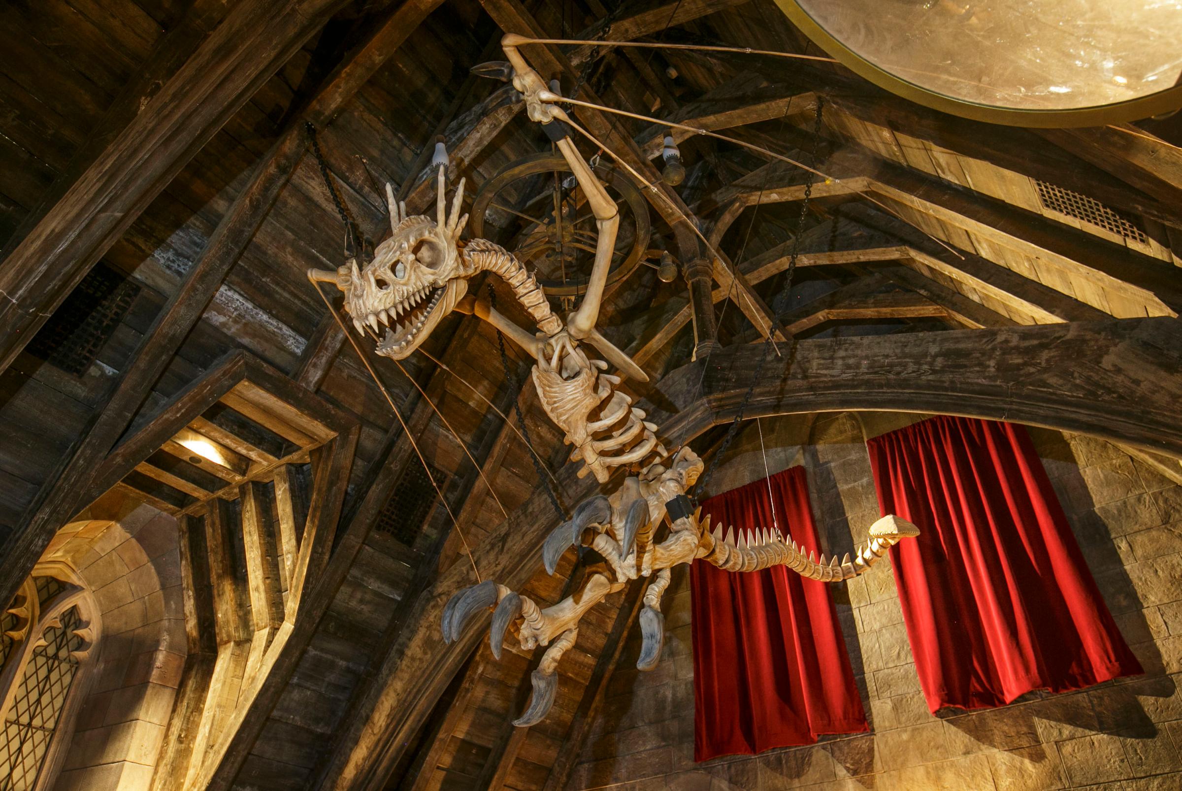 Dragon skeleton in Hogwarts Castle.