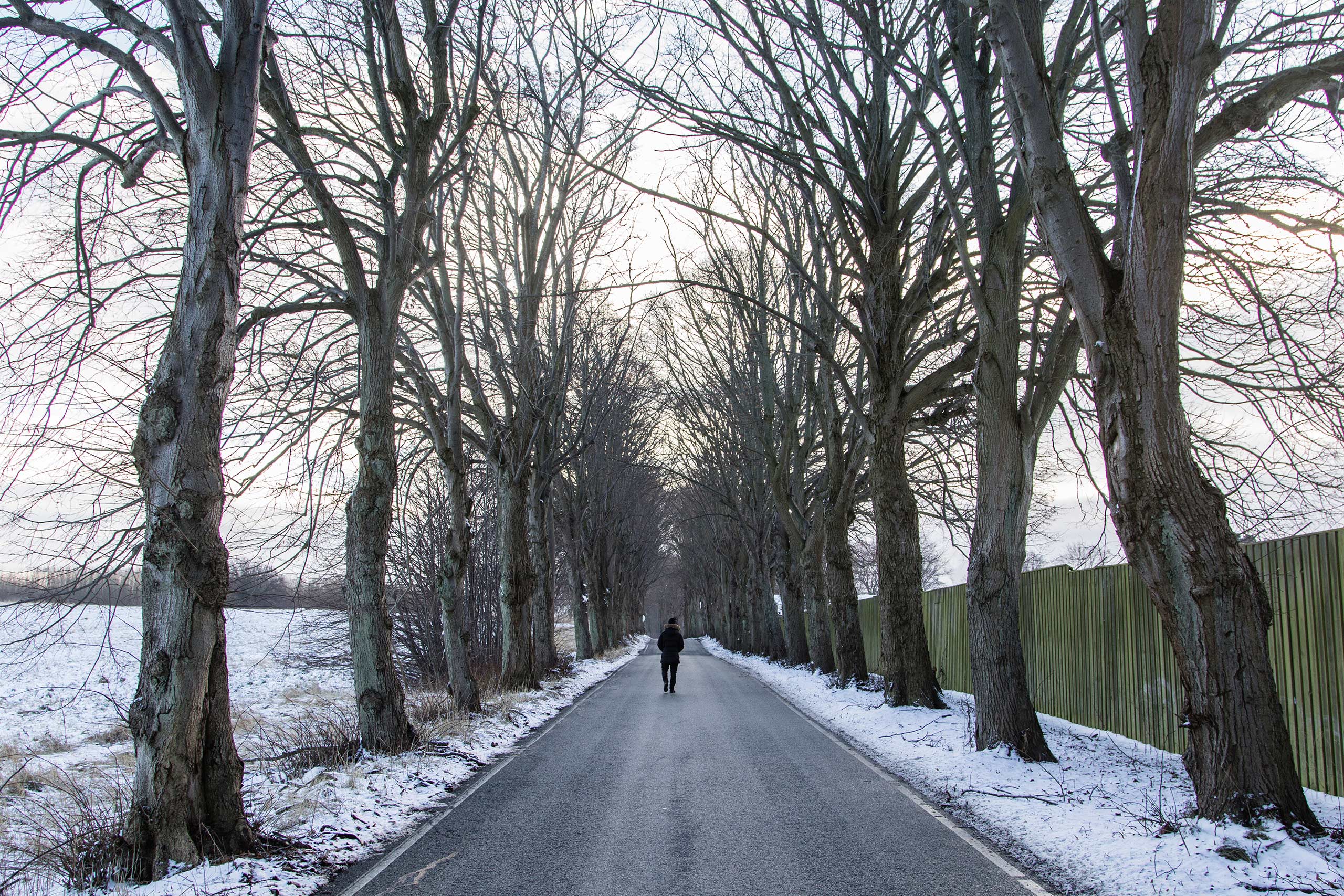 Qanie Nazari takes a stroll on a quiet road near the Sandholm Asylum Center, Denmark. Jan. 2016.