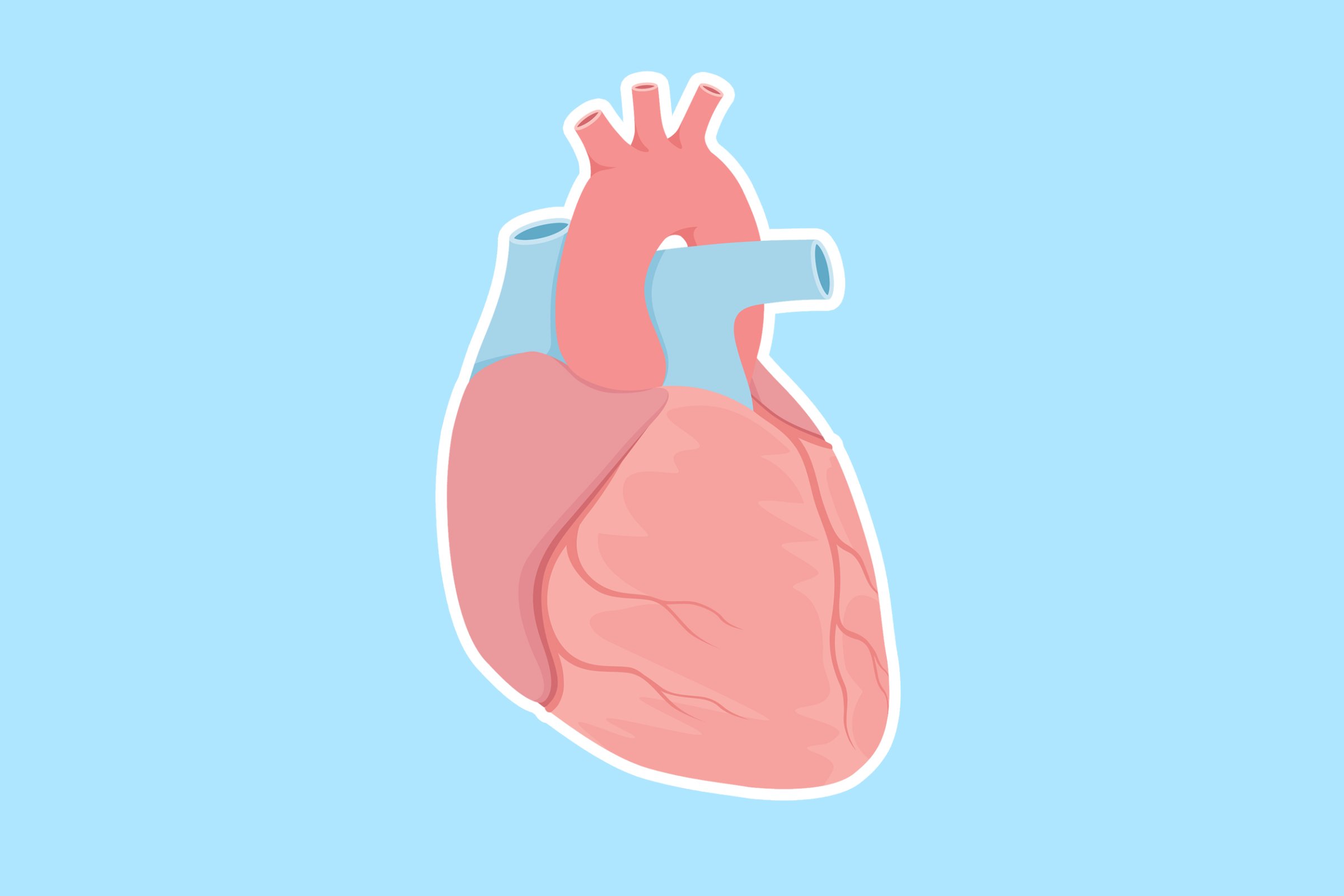 Science of a Broken Heart: How Loss Takes a Toll