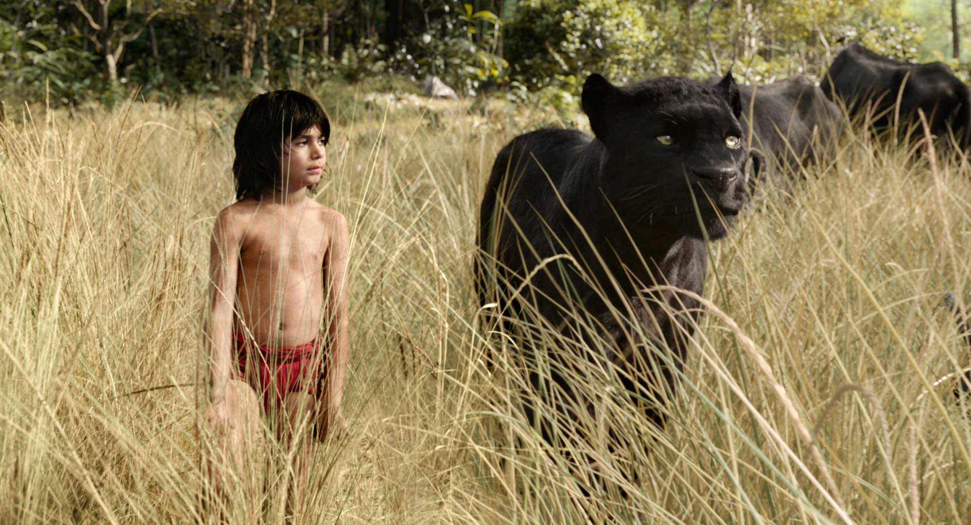 Jon Favreau’s Jungle Book is a wild tale for a digital age (Disney)