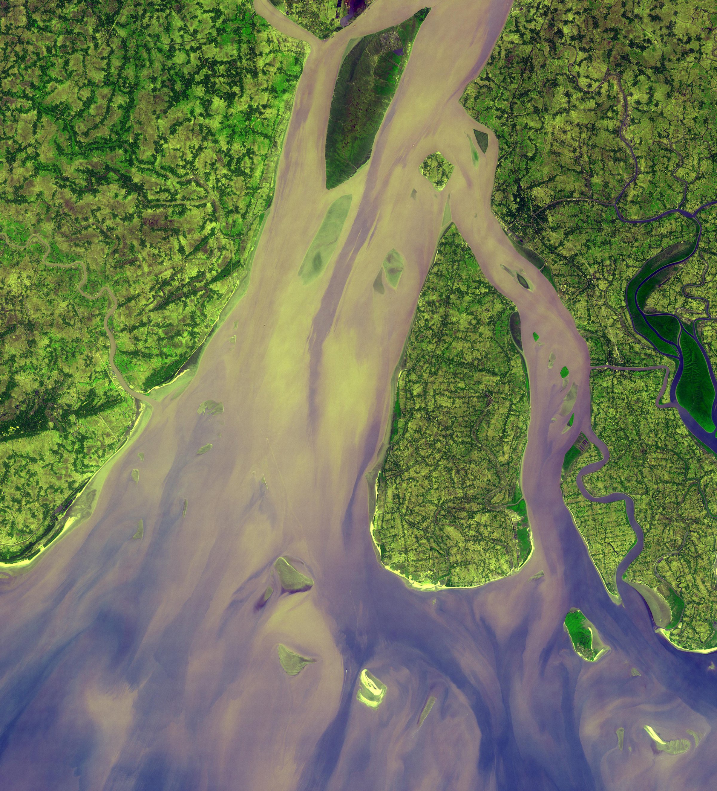 High sediment load in the Hugli River Delta, India, is evident by the light tan colors in the water, particularly downstream from off-shore islands. The deep green colors of some of these islands are mangrove swamps. Image acquired on Jan. 6, 2005.