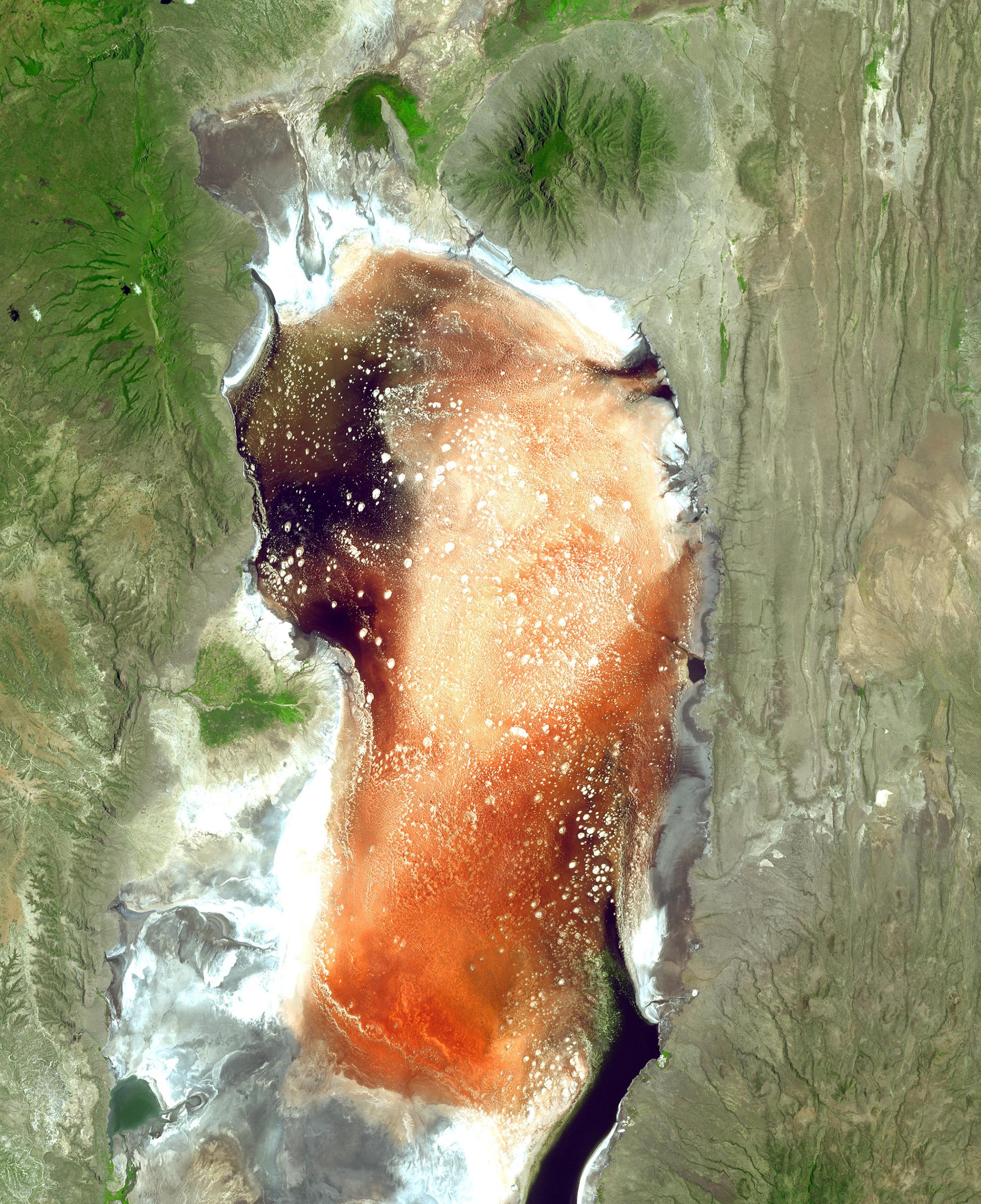 The alkali salt crust on the surface of Lake Natron in Tanzania is often colored red or pink by the salt-loving microorganisms that live there. This image was acquired on March 8, 2003.