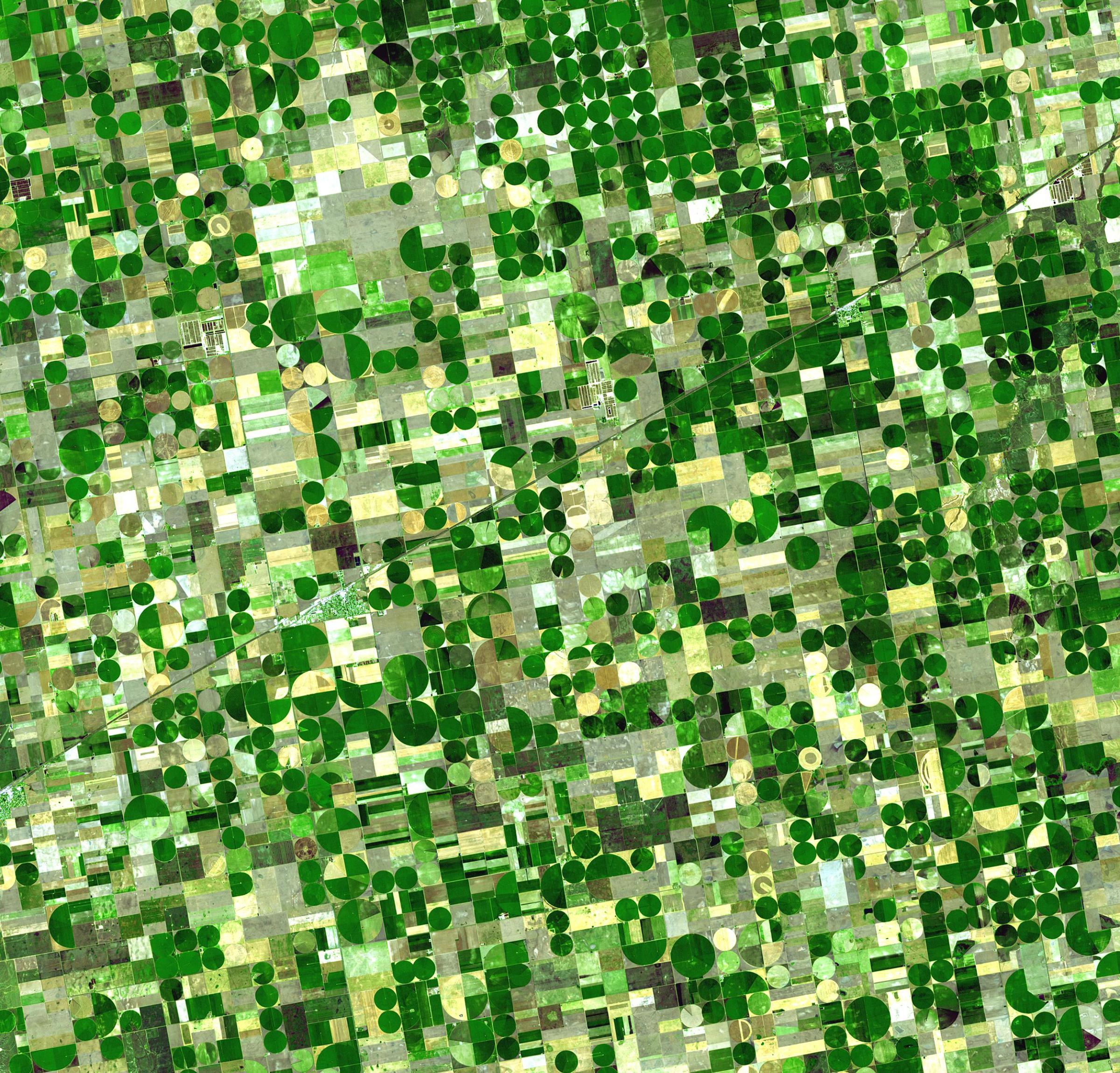 Finney County in southwestern Kansas is now irrigated cropland where once there was shortgrass prairie. Green areas in the image are healthy vegetation. Light colored cultivated fields are fallow or recently harvested. The image was acquired on June 24, 2001.