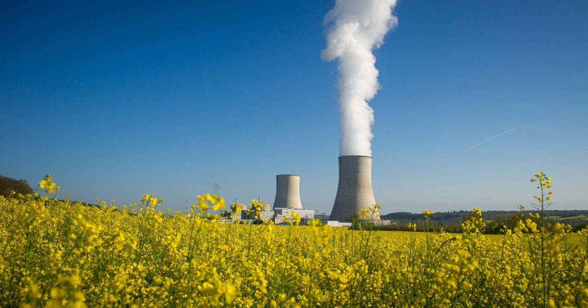 Виды ядерной энергии. АЭС И экология. Ядерная энергия в сельском хозяйстве. Ядерная Энергетика. Атомная промышленность.