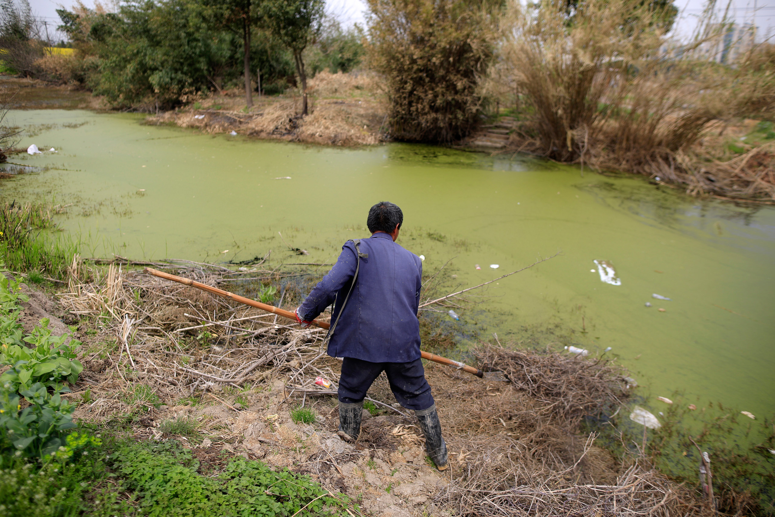 A farmer works on a polluted river in Shanghai, China, on Mar. 21, 2016. (Aly Song—Reuters)