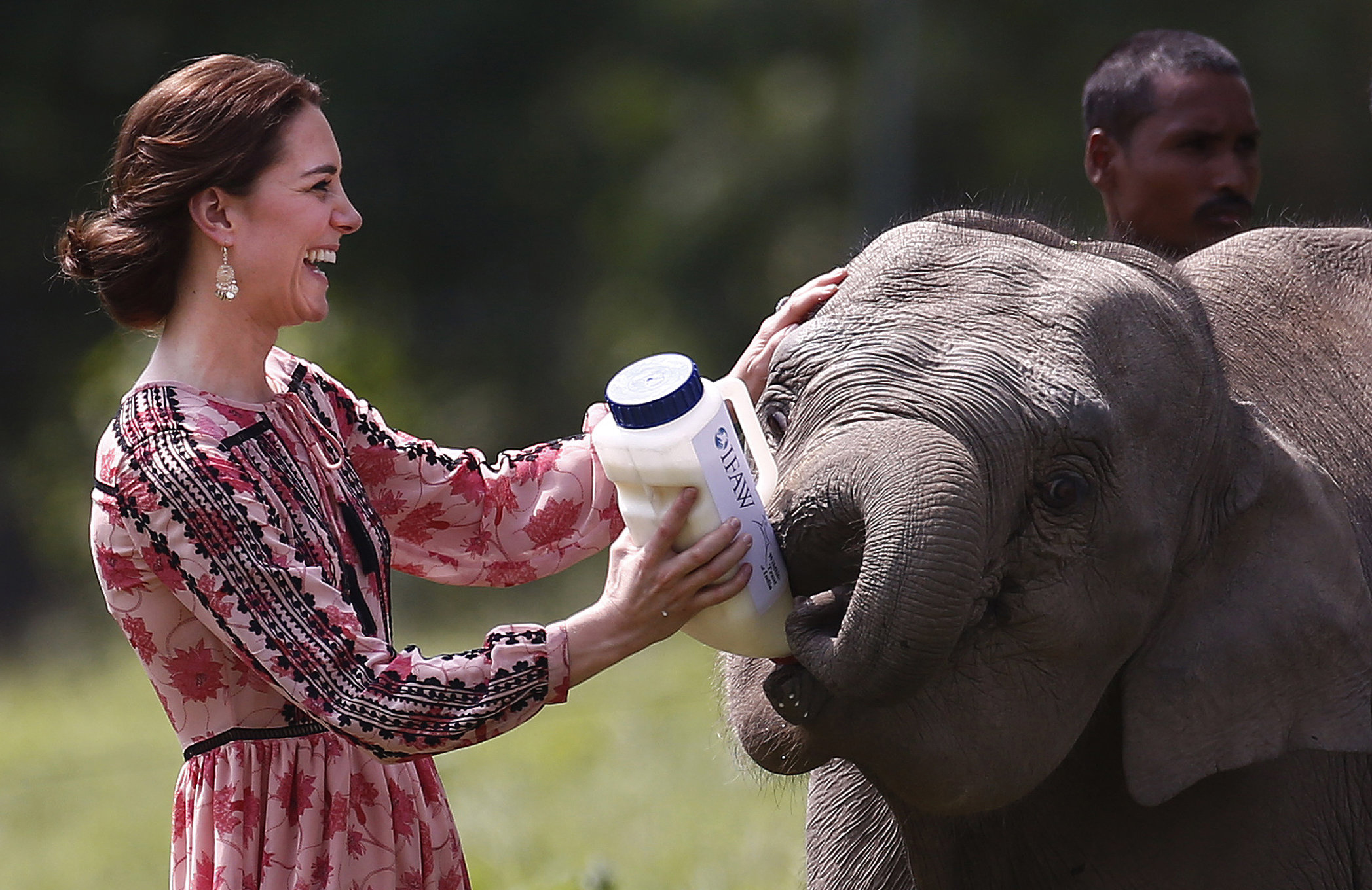 Kate, Duchess of Cambridge, feeds a baby elephant at the Centre for Wildlife Rehabilitation and Conservation at Panbari reserve forest in Kaziranga, in the north-eastern state of Assam, India on April 13, 2016.