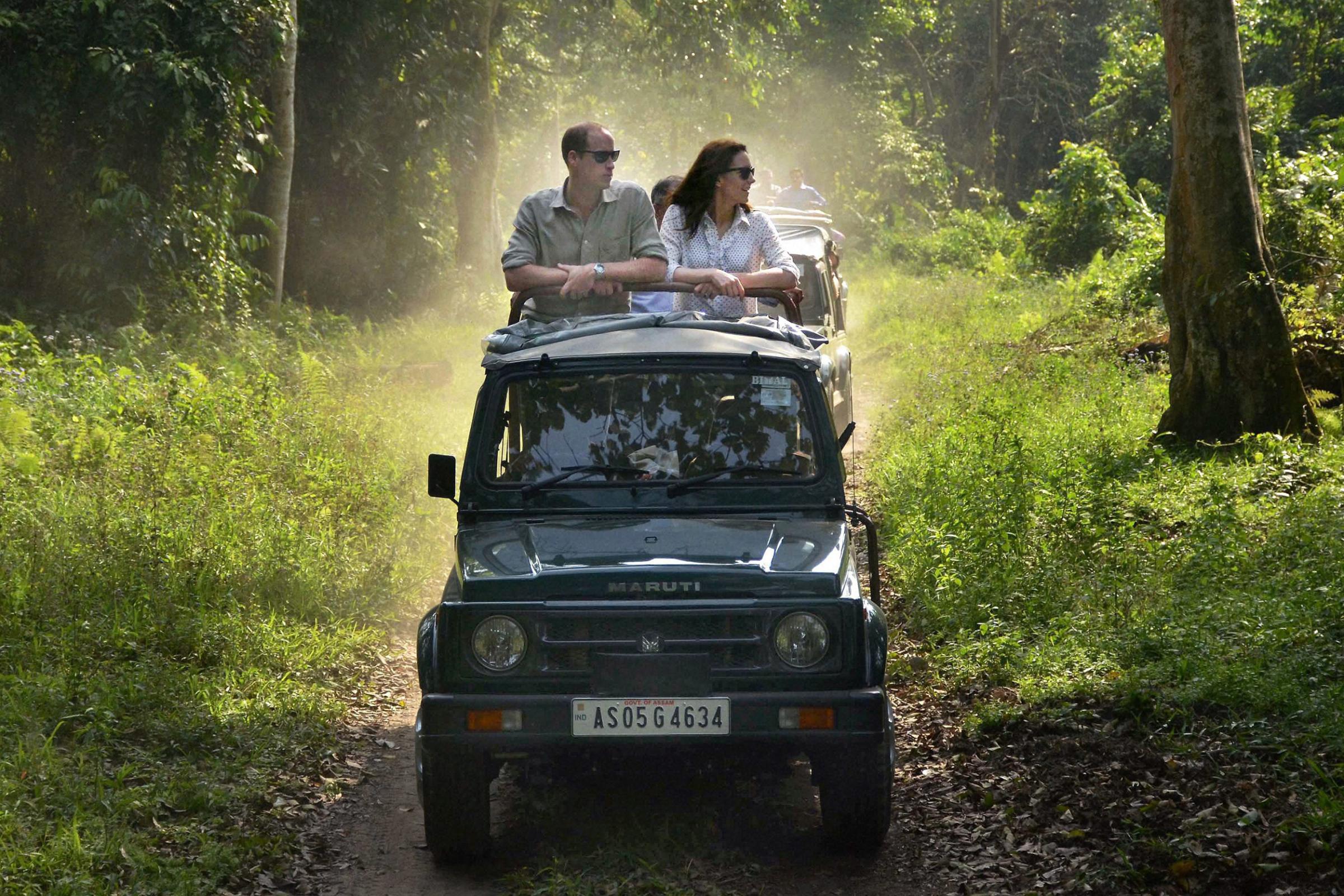 Prince William and Kate, the Duchess of Cambridge take an open vehicle safari inside the Kaziranga National Park, east of Gauhati, northeastern Assam state, India on April 13, 2016. The royal couple spent several hours at the Kaziranga National Park in hopes of drawing attention to the plight of endangered animals, including the park's 2,200-population of a rare, one-horned rhinos.