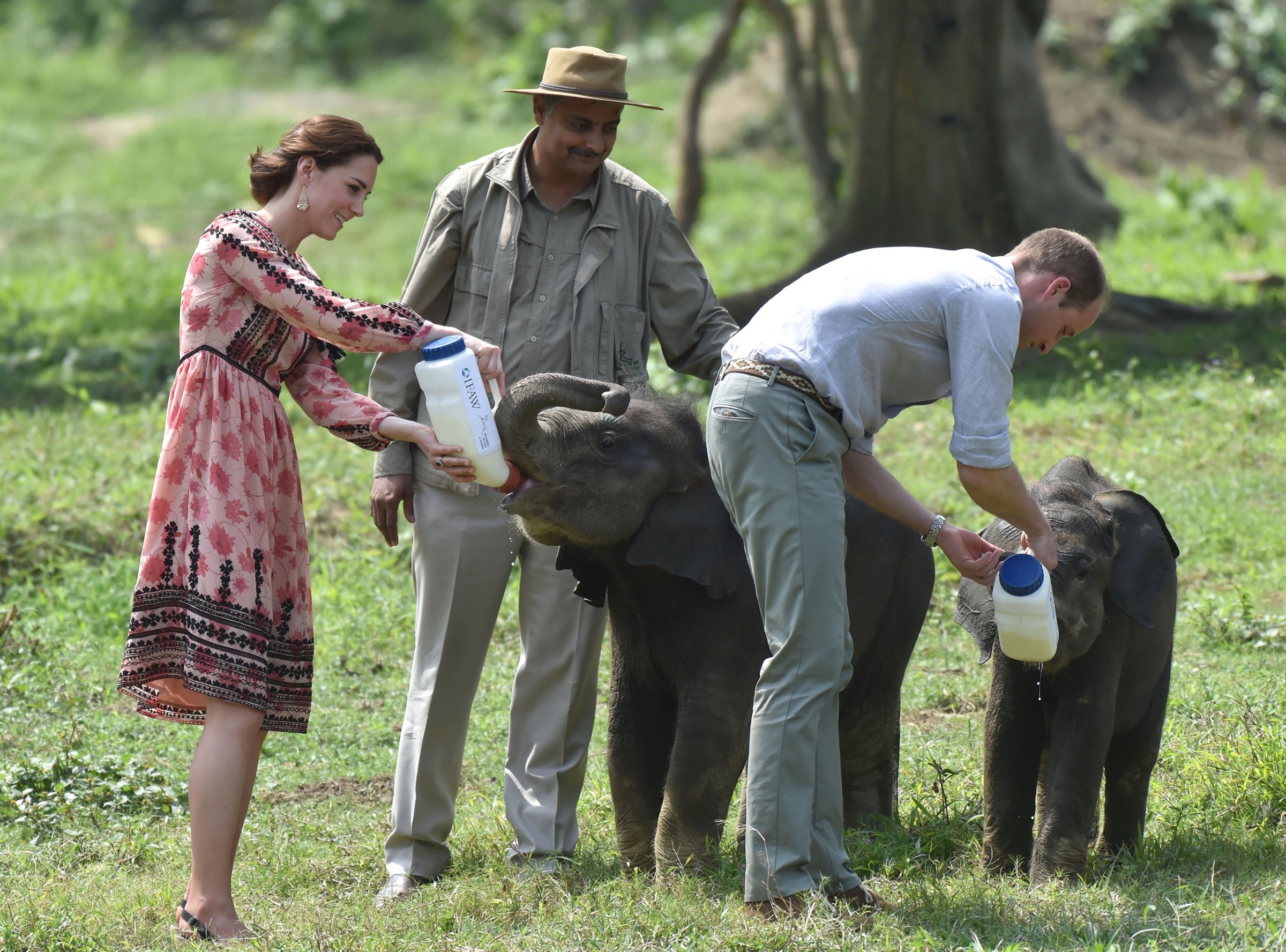 Catherine, Duchess of Cambridge and Prince William, Duke of Cambridge visit the Centre for Wildlife Rehabilitation and Conservation at Kaziranga National Park in Guwahati, India on April 13, 2016.