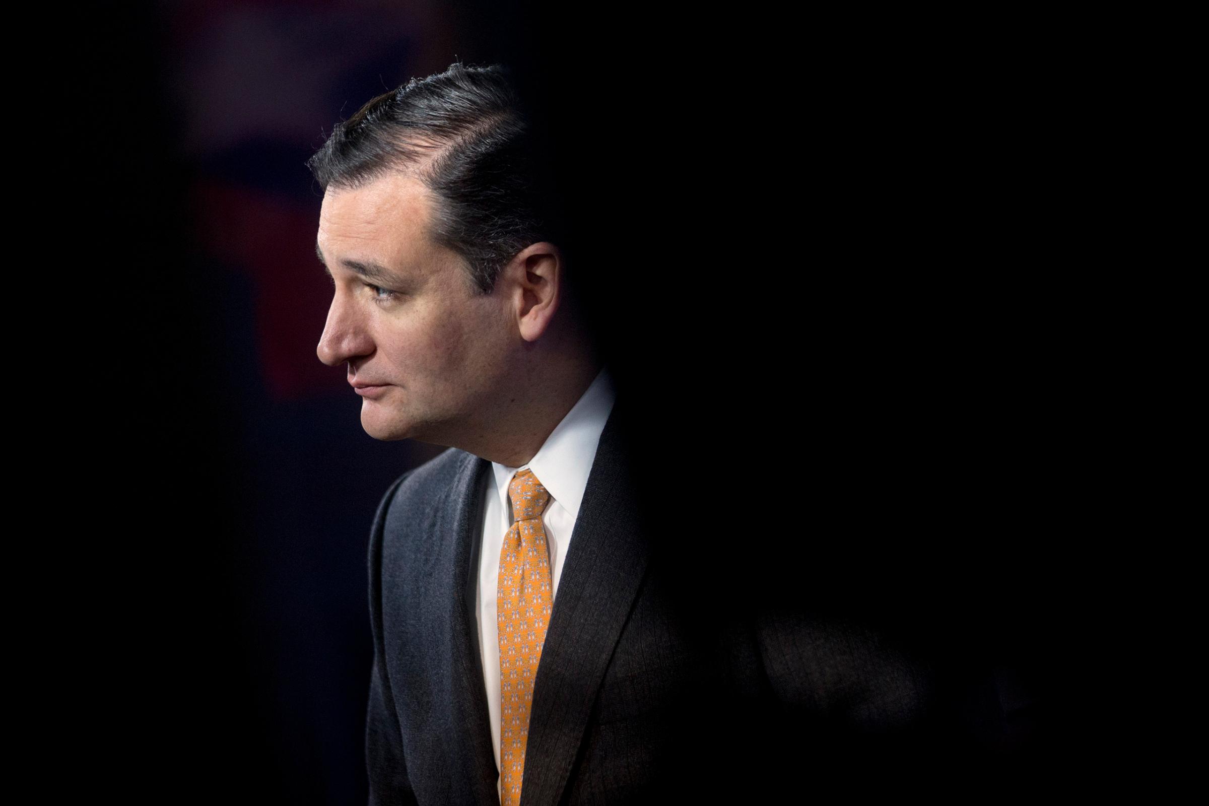 Senator Ted Cruz in Washington, D.C., on Jan. 30, 2014.