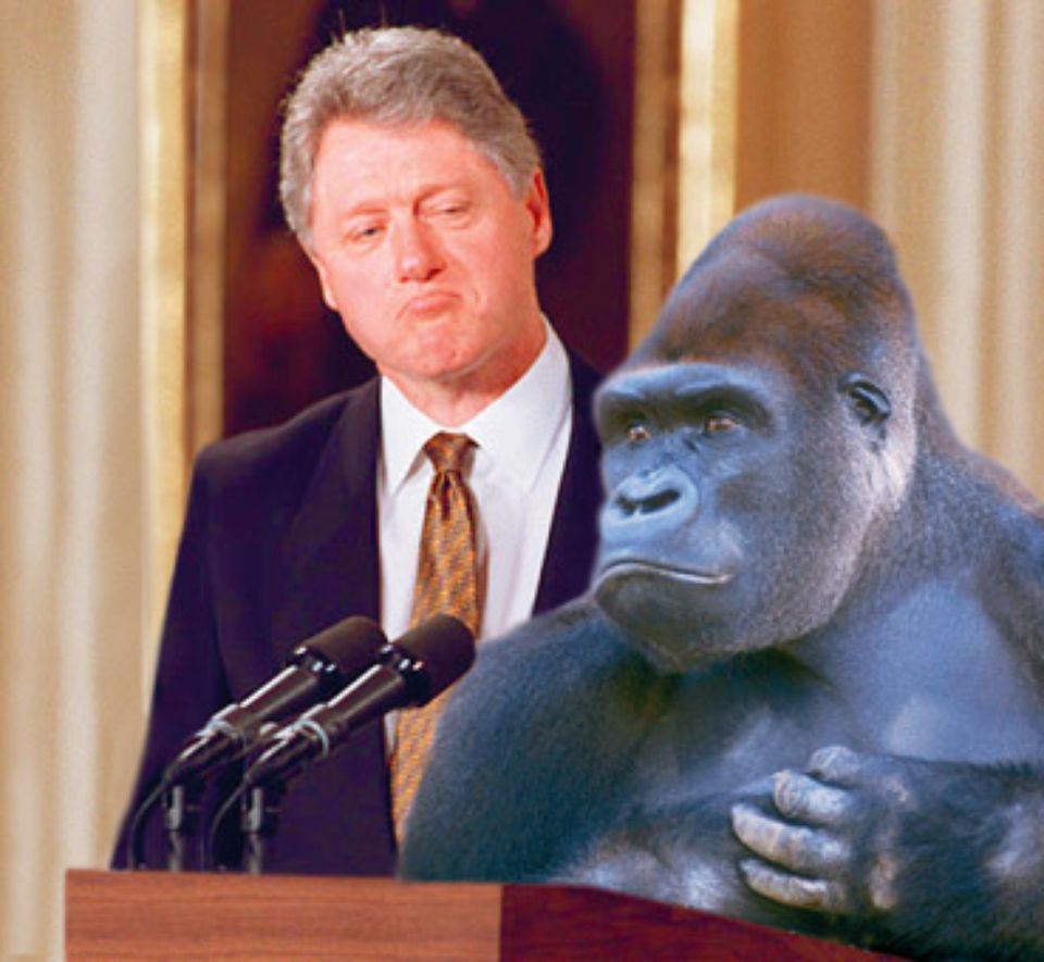 Ape Appointed Banana Czar
                               March 19, 1997