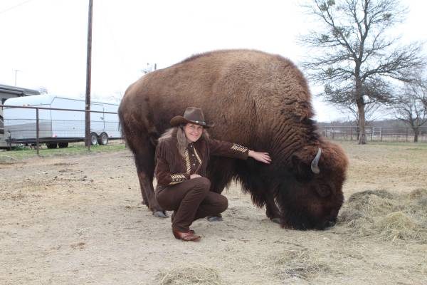 Housebroken, 1,000 Pound Bison Sold By Texas Owner | Time