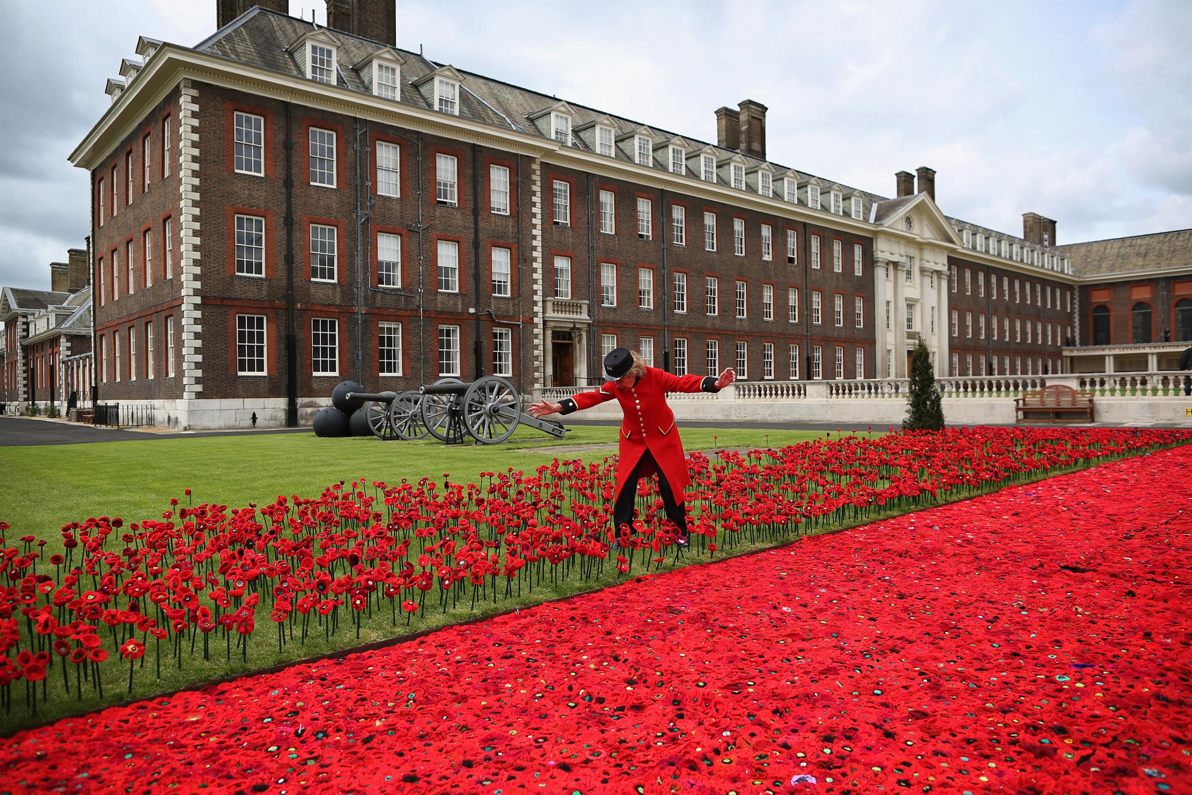 Chelsea Flower Show Displays 300000 Knitted Poppies To Honour The War Dead