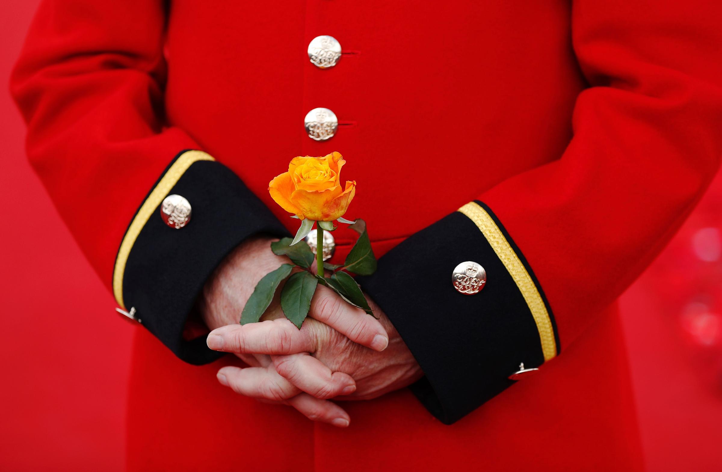 A Chelsea Pensioner holds a rose as he stands in the 5000 Poppies Garden at the Chelsea Flower Show in London on May 23, 2016.