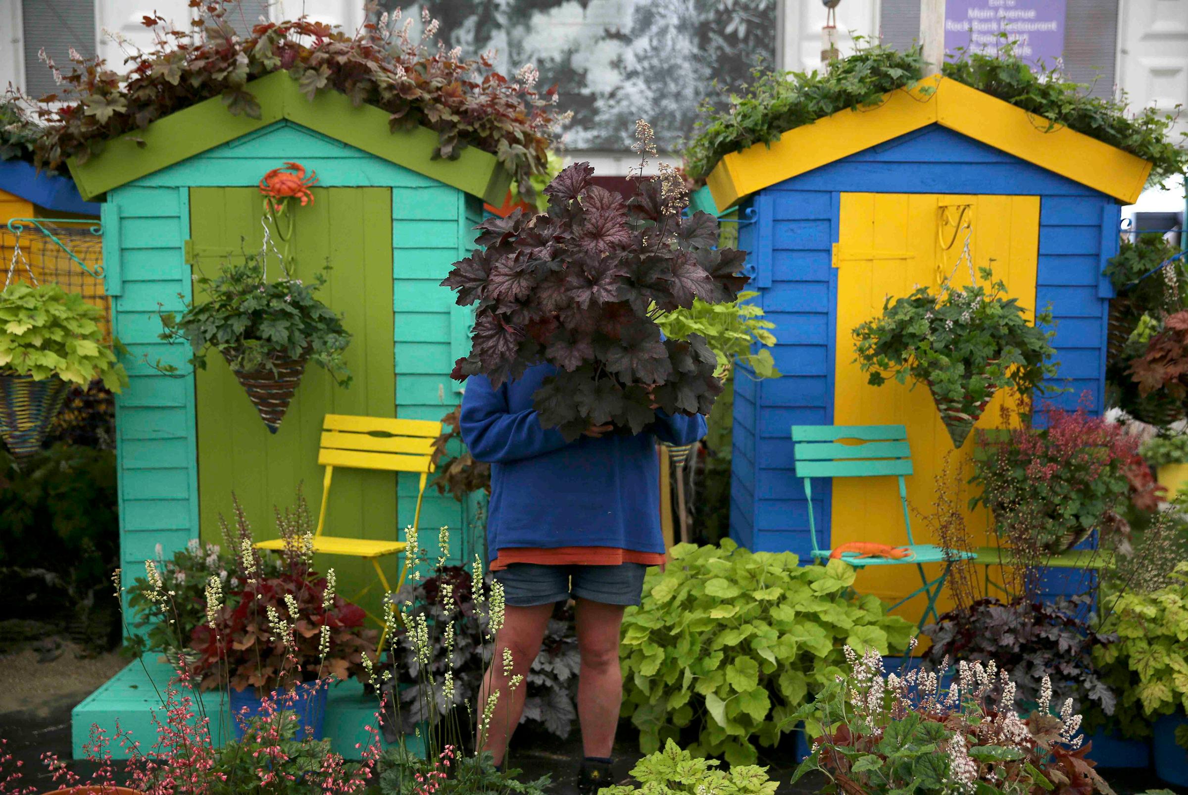 A woman works on a display during preparations for the RHS Chelsea Flower Show in London on May 21, 2016.
