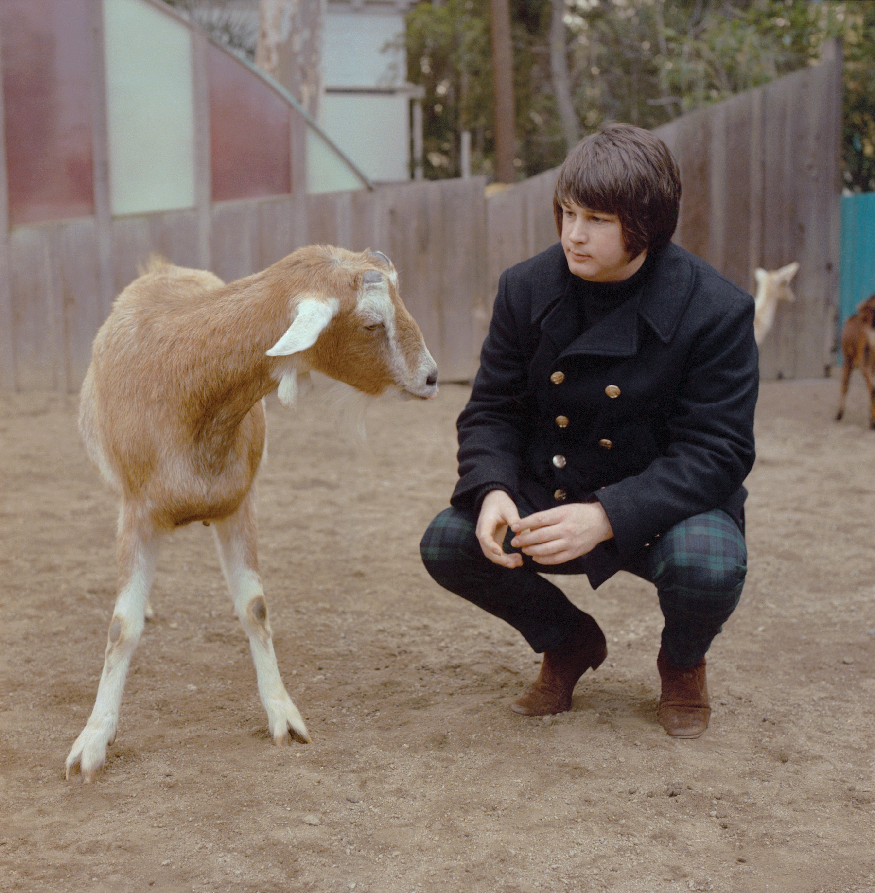 The Beach Boys' Pet Sounds photo shoot by George Jerman at San Diego Zoo, California, in February 1966.