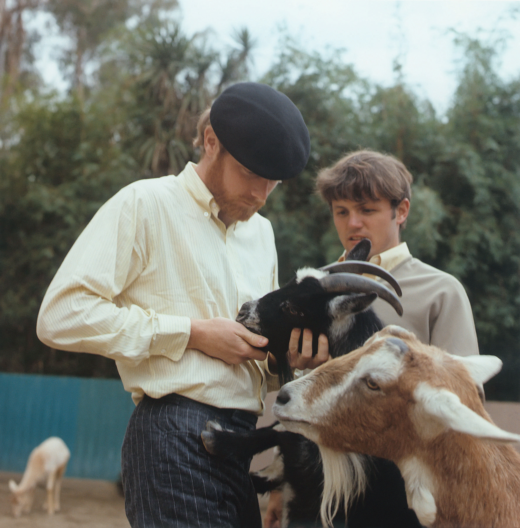 The Beach Boys' Pet Sounds photo shoot by George Jerman at San Diego Zoo, California, in February 1966.
