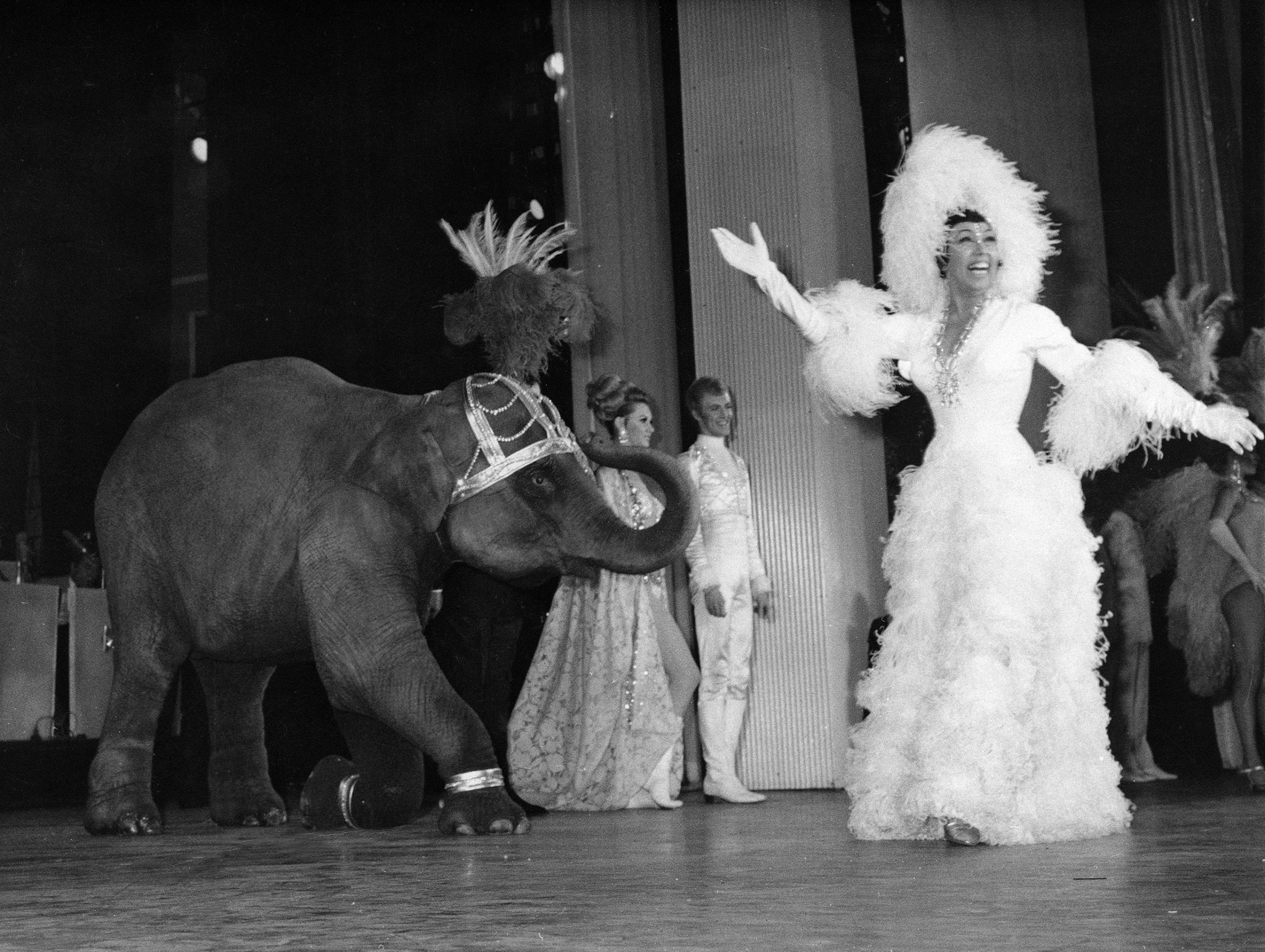 Josephine Baker appears with a young elephant on stage during her gala premiere at the Olympia Theatre in Paris, April 4, 1968.
