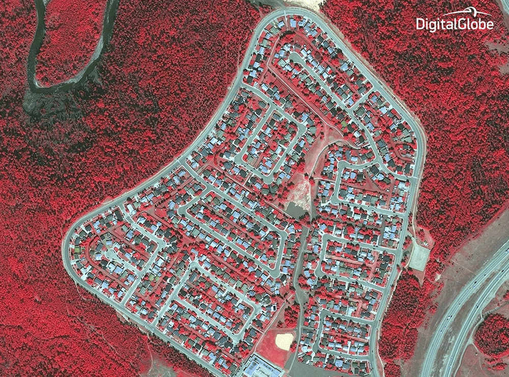 A before-after gif of satellite images captured May 29, 2015, and May 5, 2016, by DigitalGlobe, using short wave infrared imagery, shows the destruction in the Beacon Hill neighborhood of Fort McMurray, the oil boomtown in Alberta, Canada, which has been decimated by a massive wildfire. (Photos by DigitalGlobe; GIF by Marisa Gertz for TIME)