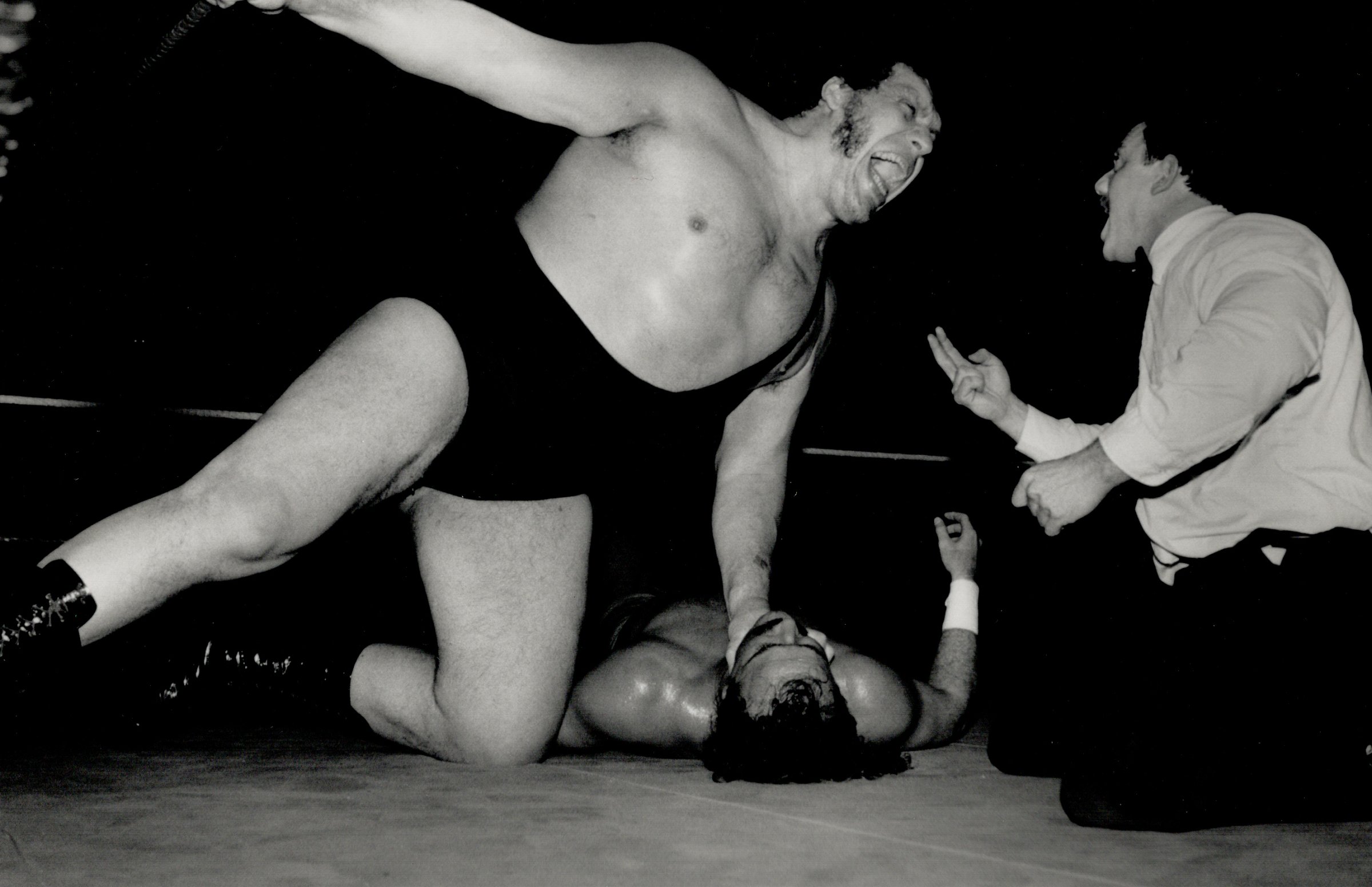Hot hype: Andre The Giant spews vitriol at the referee as fans put in their two cents' worth.
